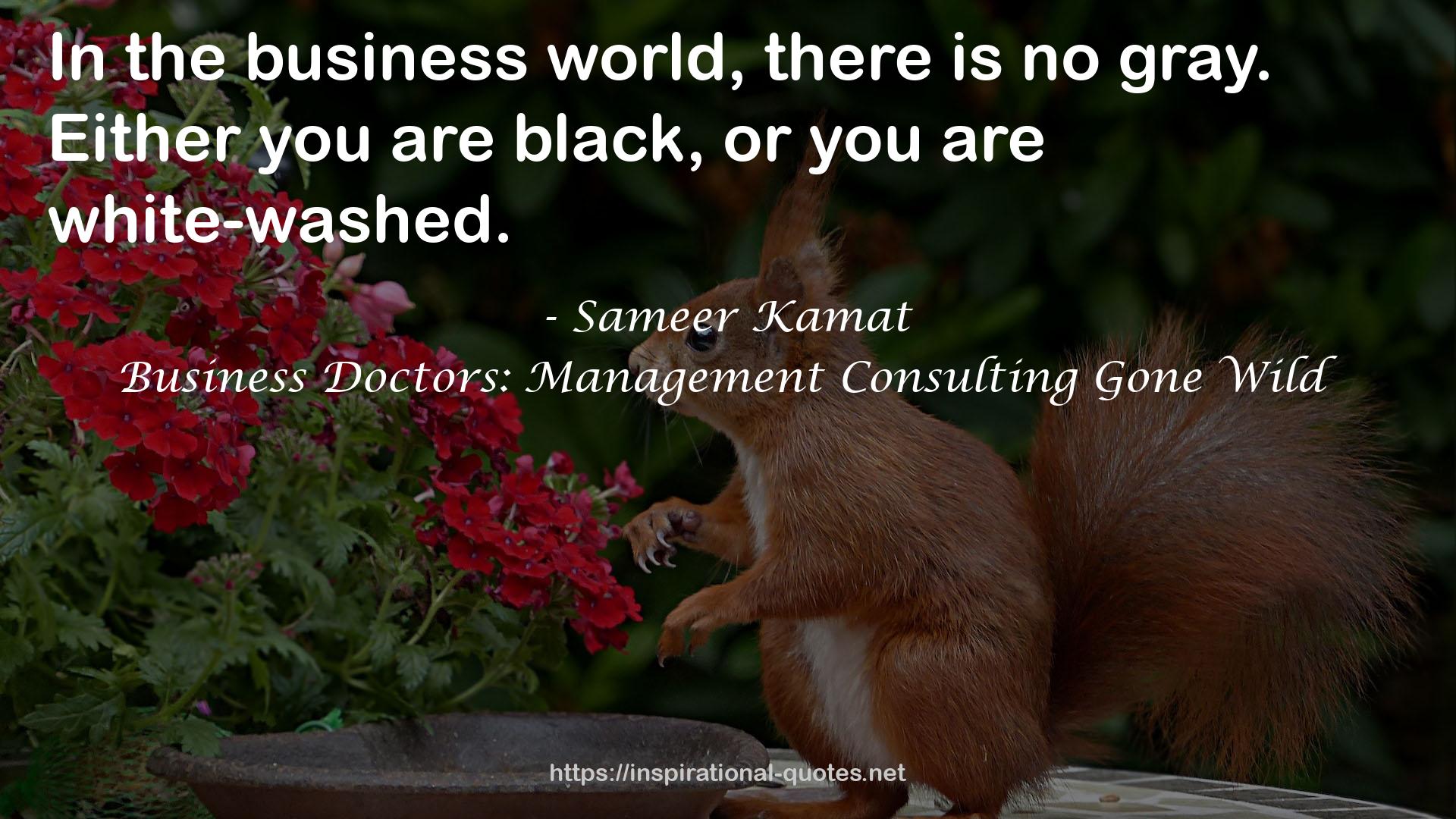 Business Doctors: Management Consulting Gone Wild QUOTES