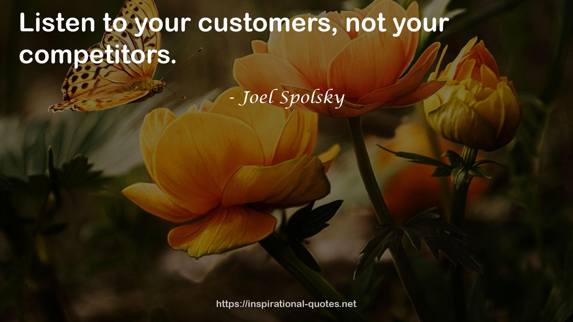 Joel Spolsky QUOTES