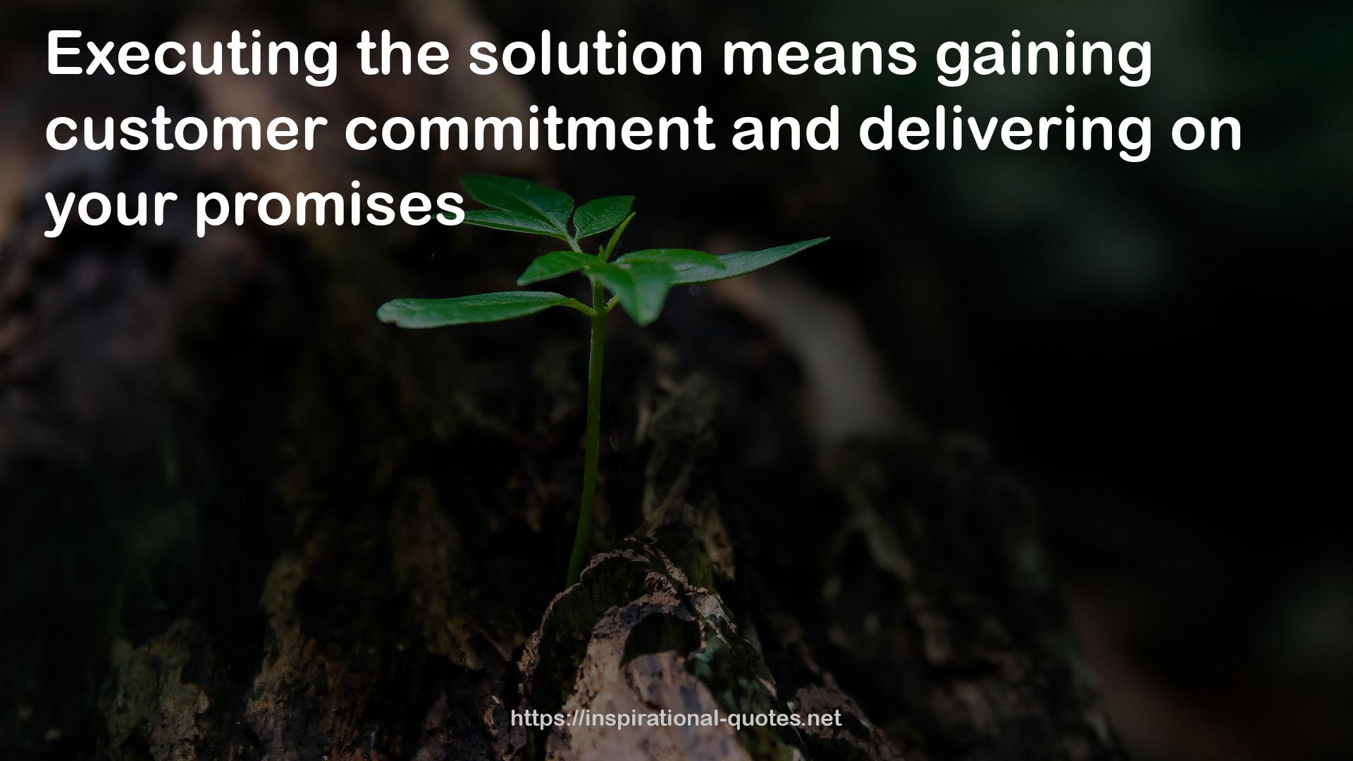 customer commitment  QUOTES