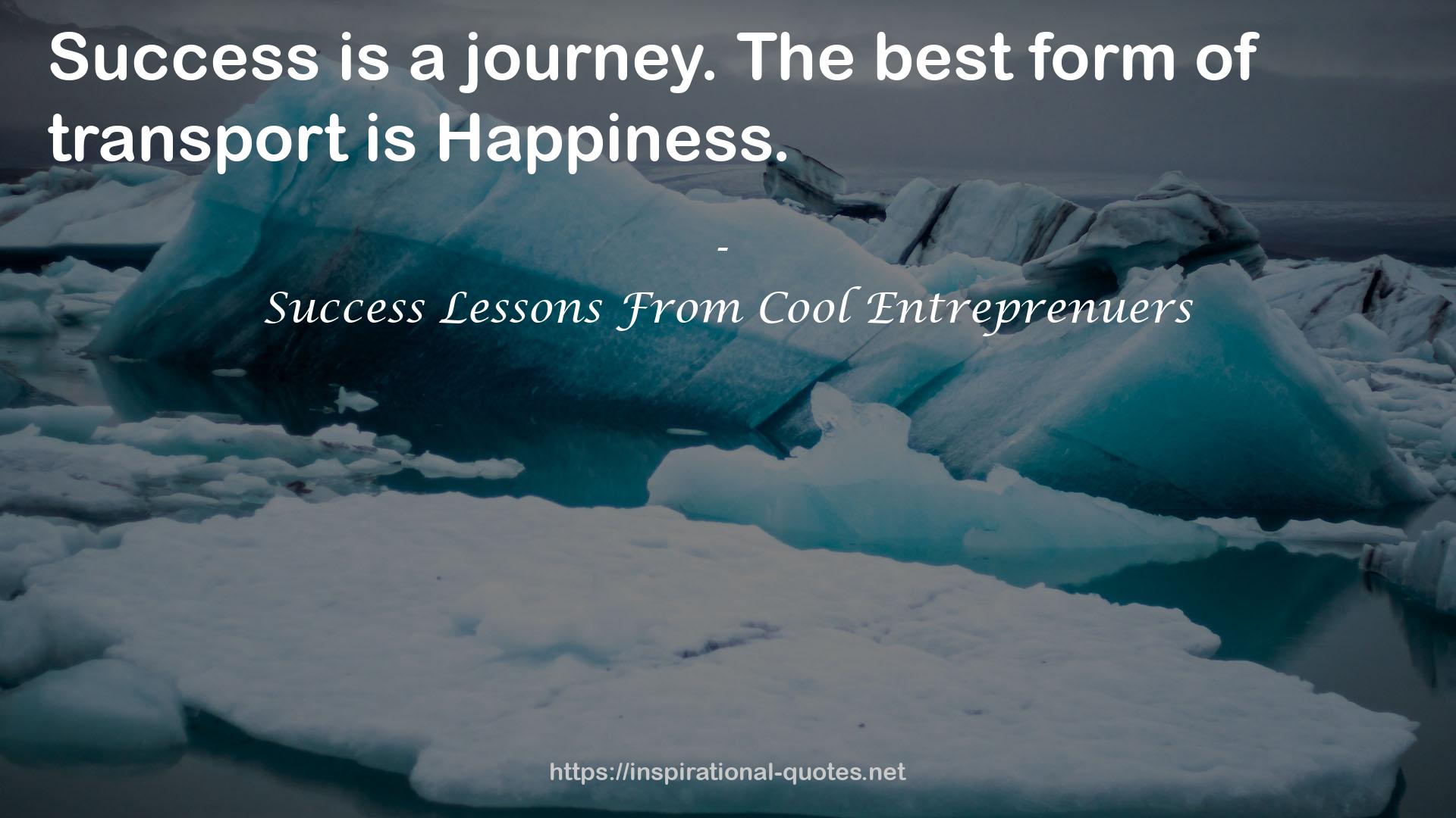 Success Lessons From Cool Entreprenuers QUOTES