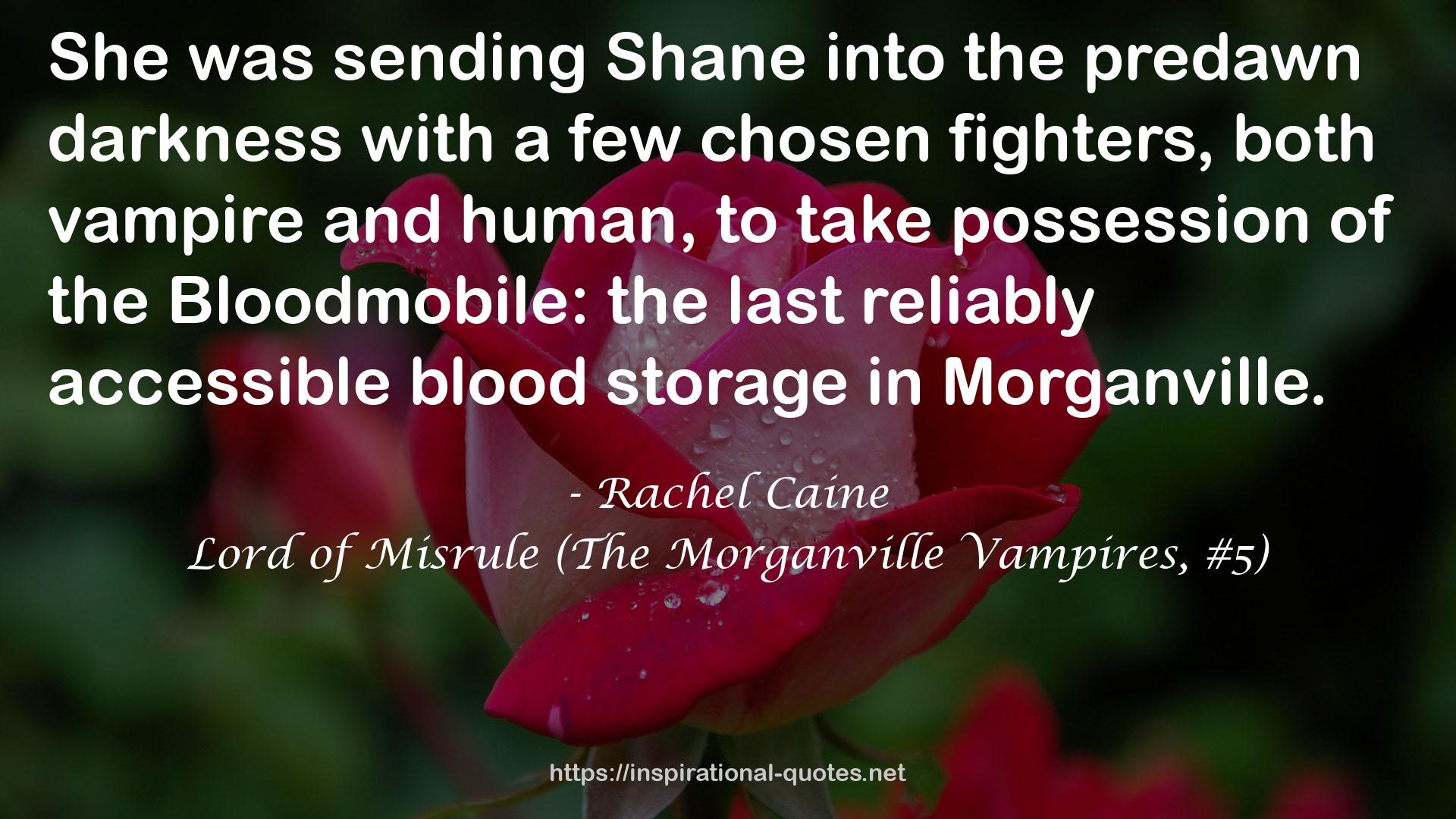 Lord of Misrule (The Morganville Vampires, #5) QUOTES