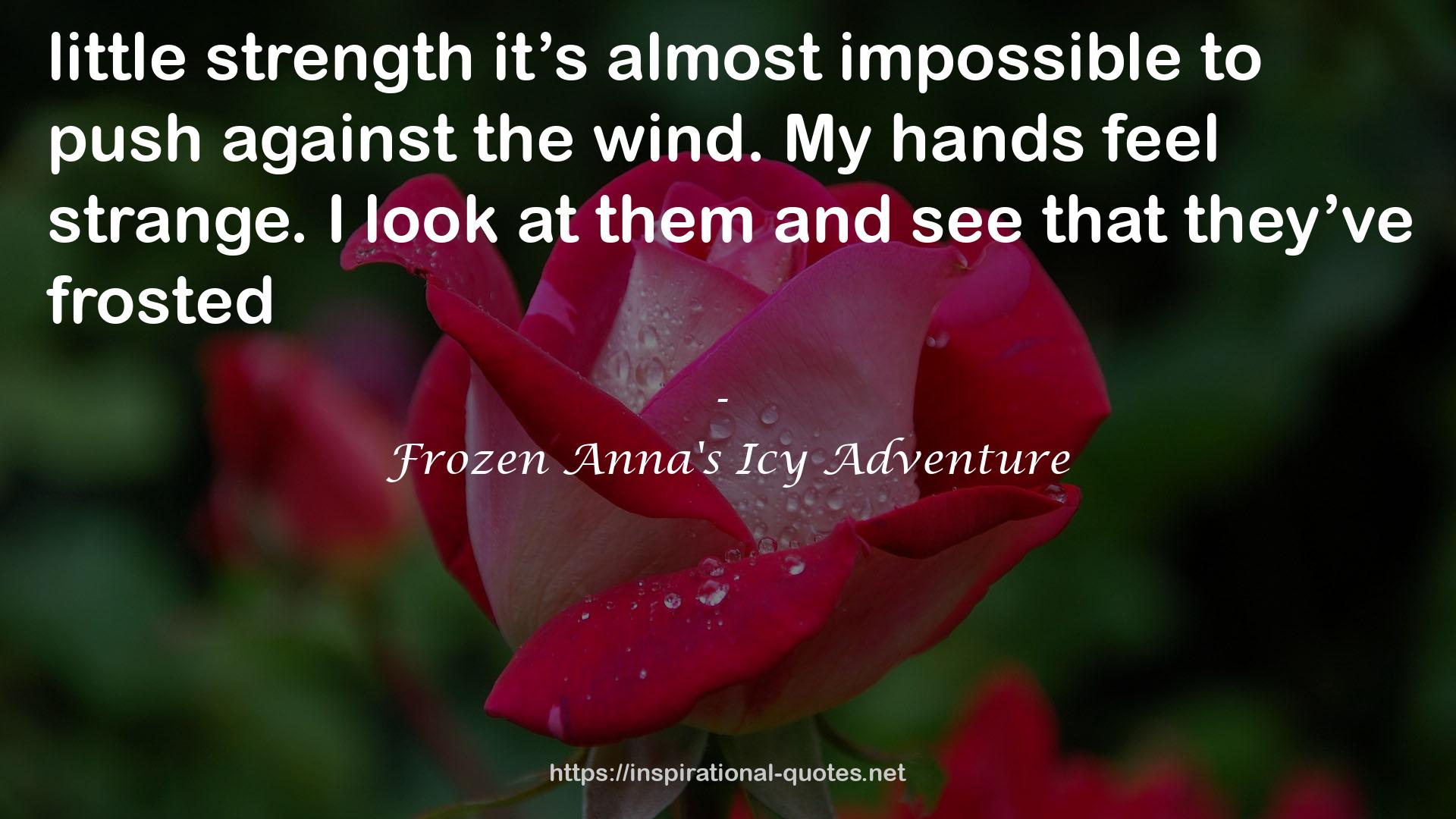 Frozen Anna's Icy Adventure QUOTES