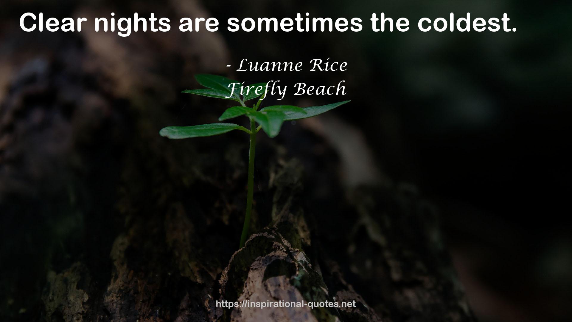 Luanne Rice QUOTES