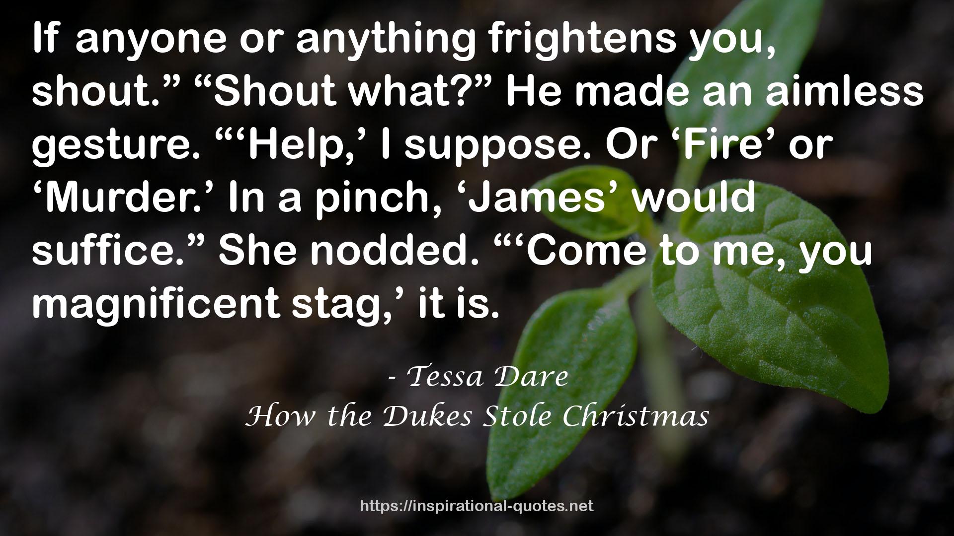 How the Dukes Stole Christmas QUOTES