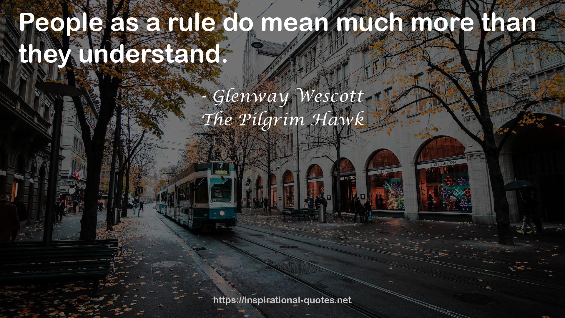 The Pilgrim Hawk QUOTES