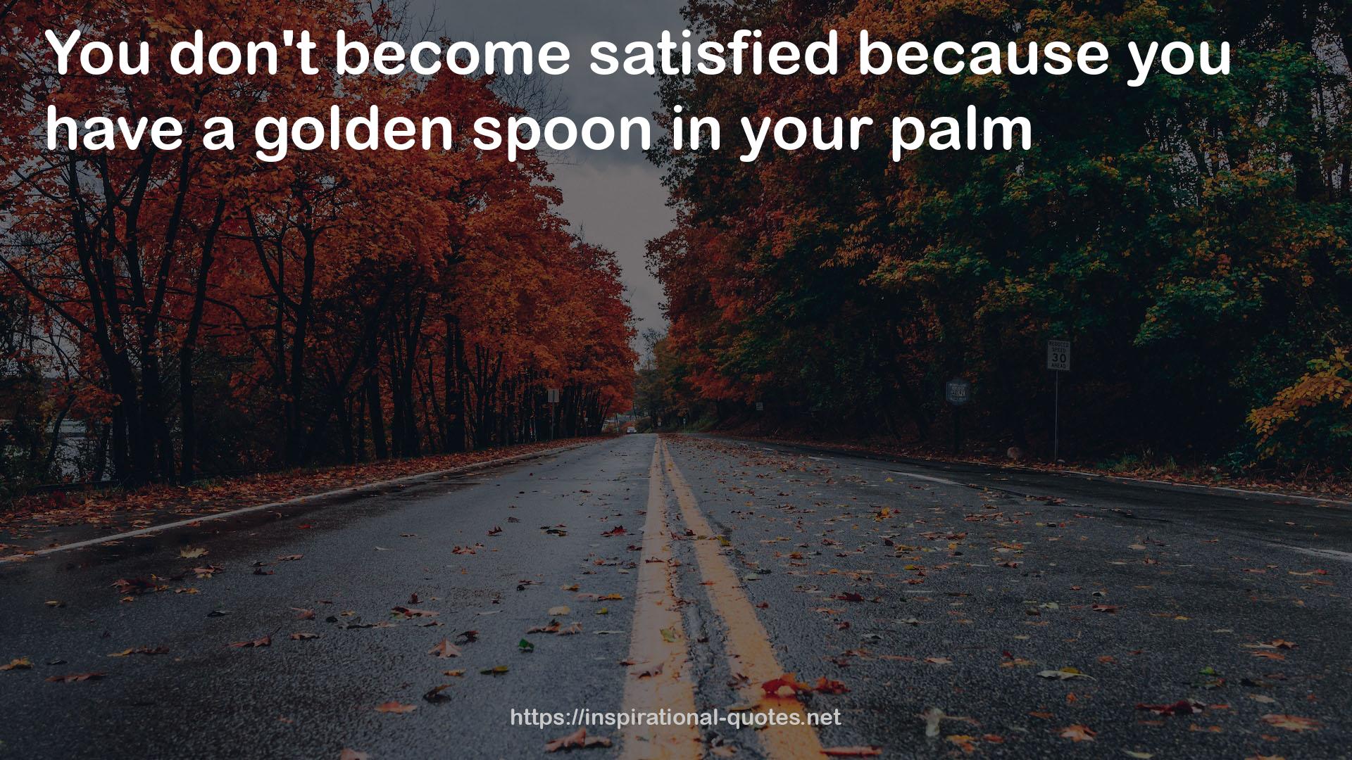 a golden spoon  QUOTES