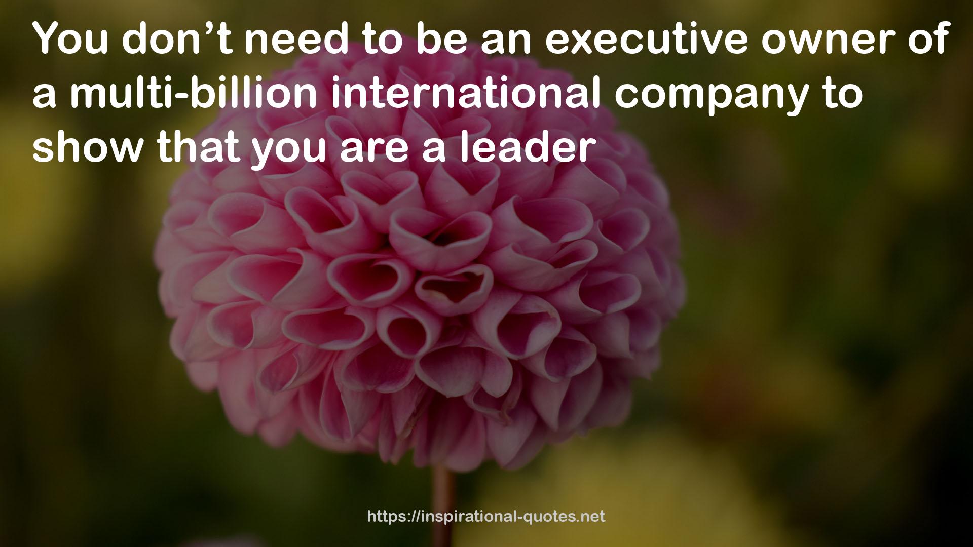 an executive owner  QUOTES