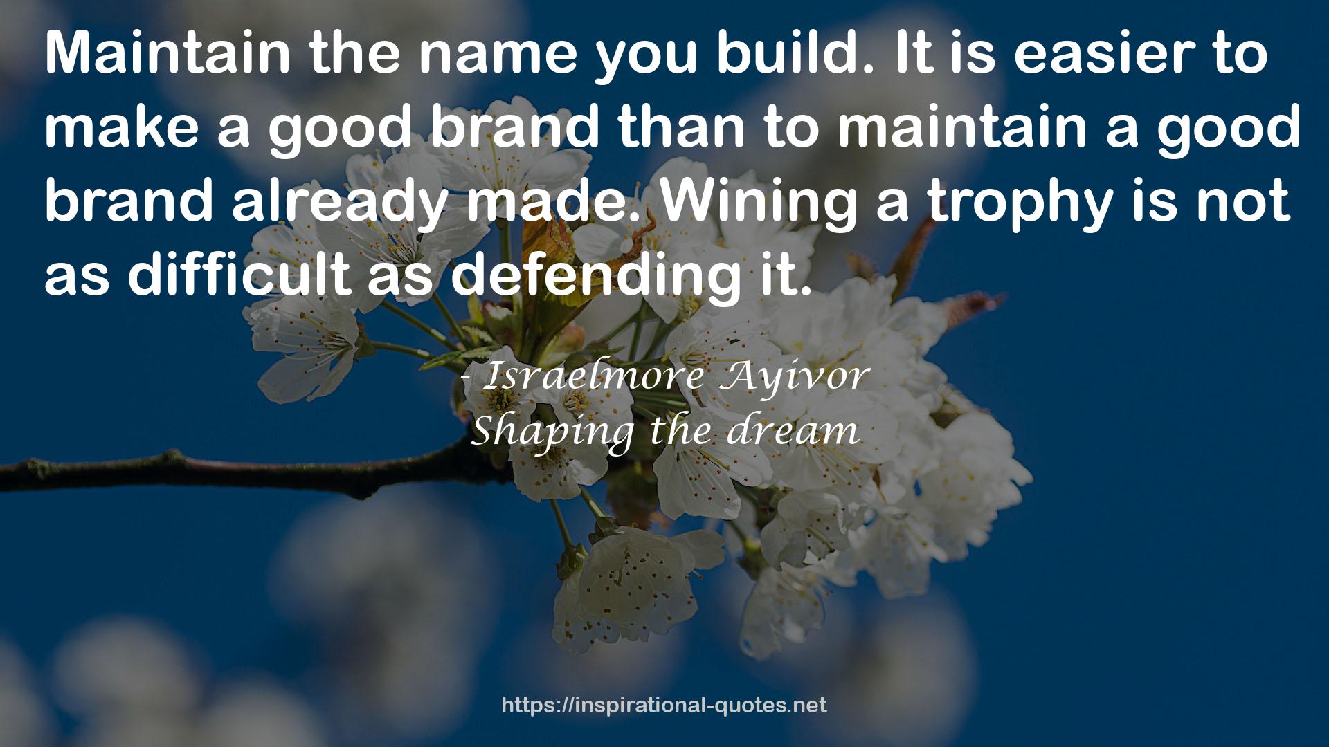 Shaping the dream QUOTES