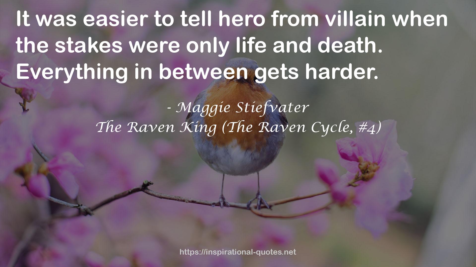 The Raven King (The Raven Cycle, #4) QUOTES