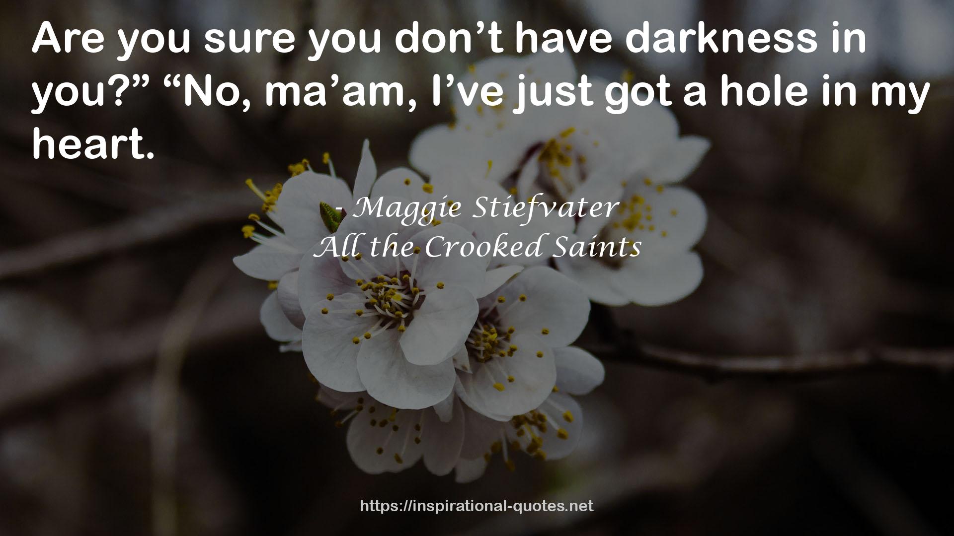 All the Crooked Saints QUOTES