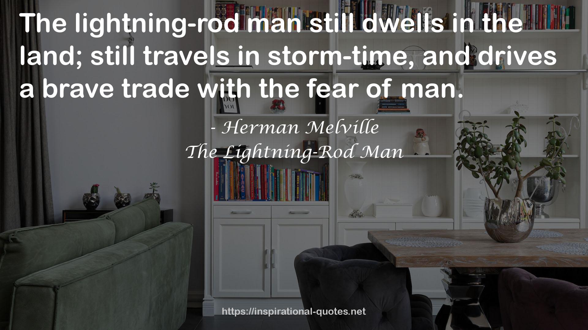 The Lightning-Rod Man QUOTES