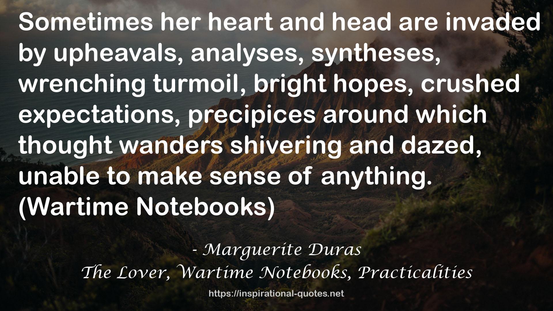 The Lover, Wartime Notebooks, Practicalities QUOTES