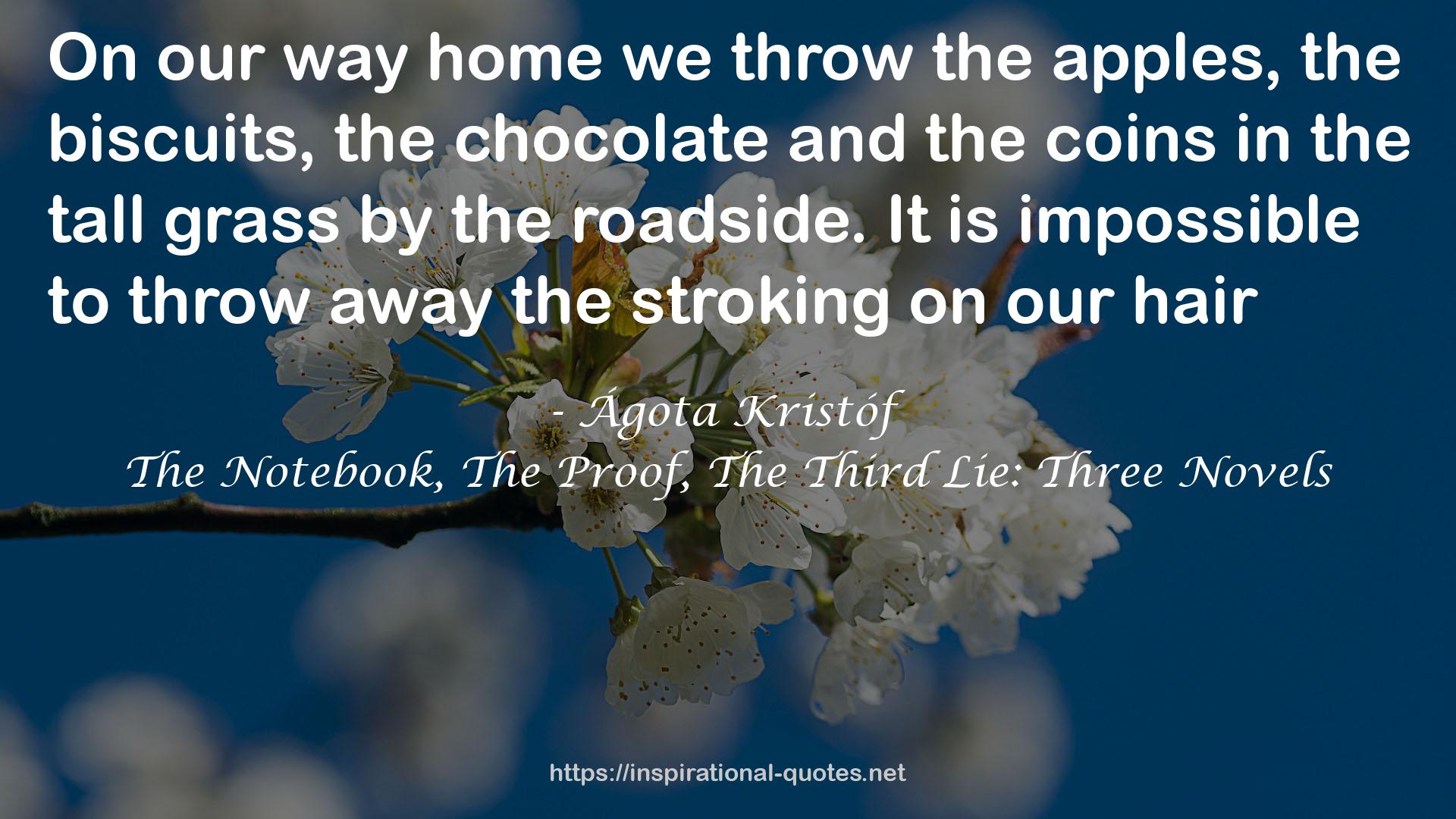 The Notebook, The Proof, The Third Lie: Three Novels QUOTES