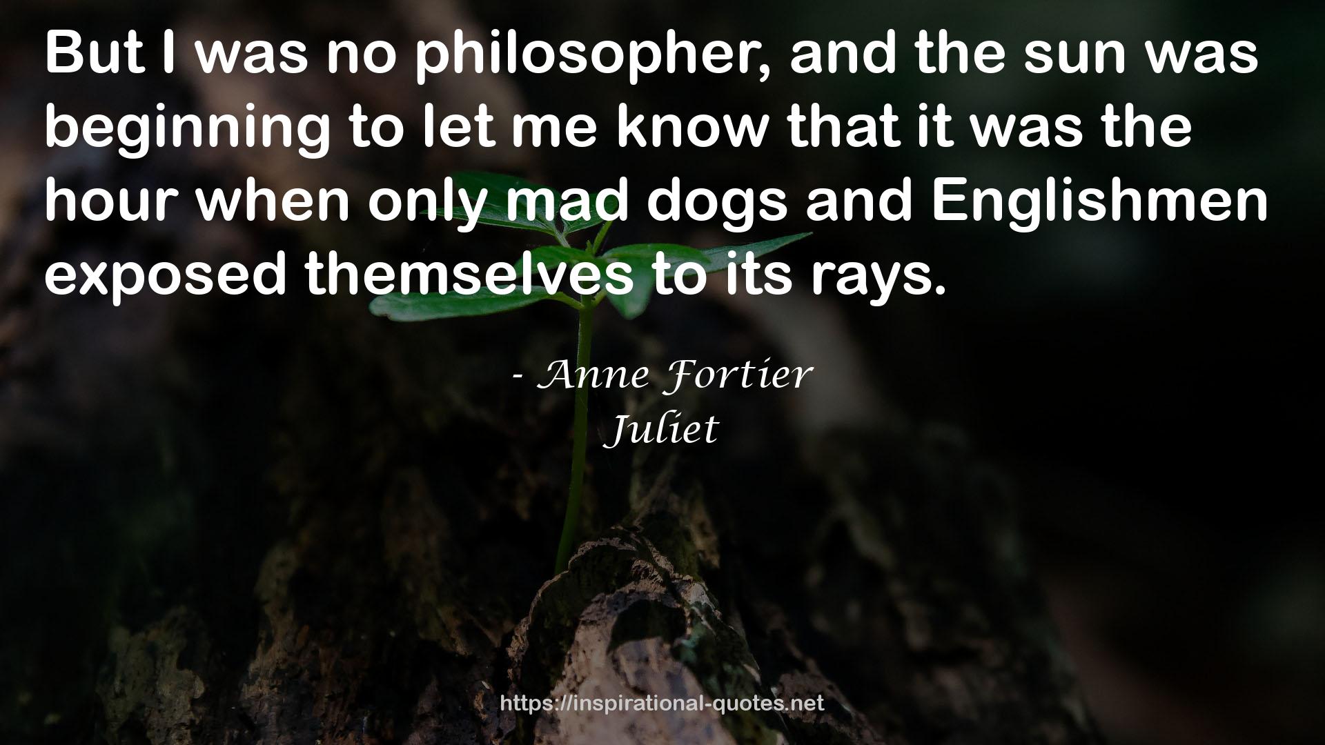 Anne Fortier QUOTES