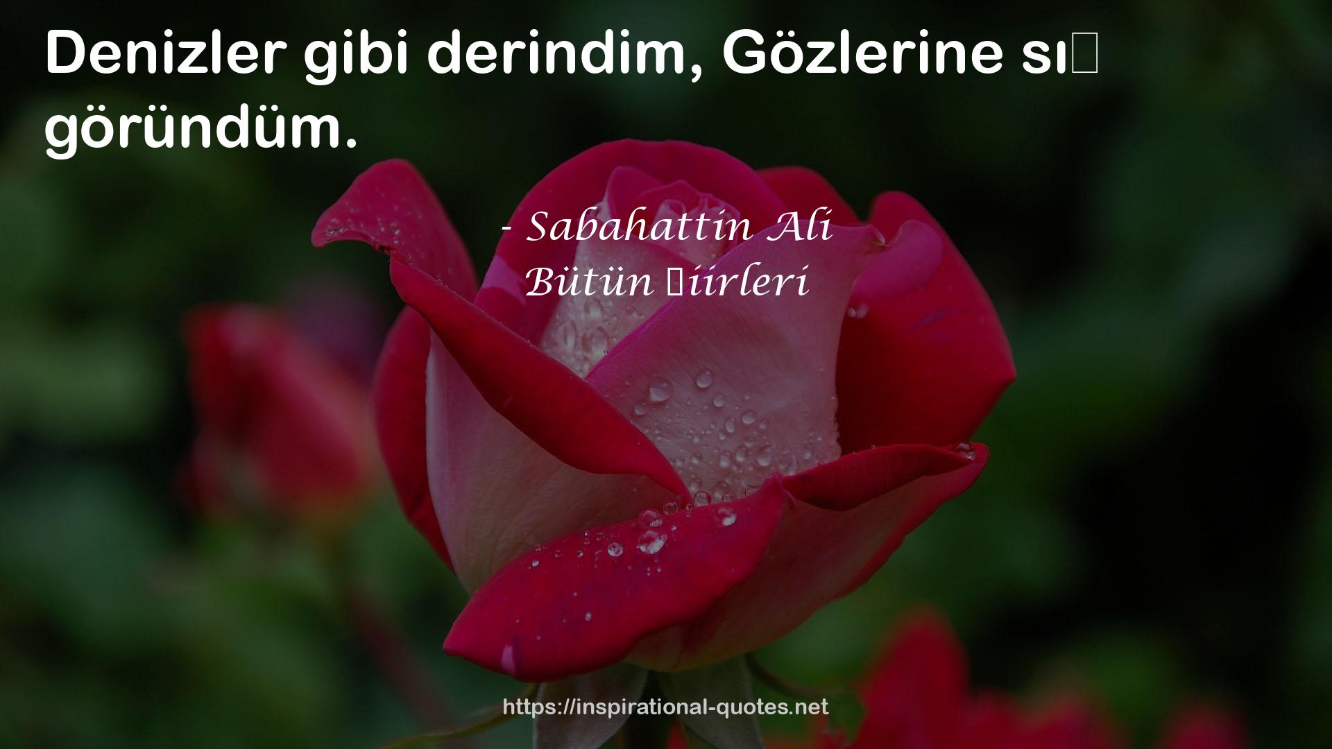 Bütün Şiirleri QUOTES