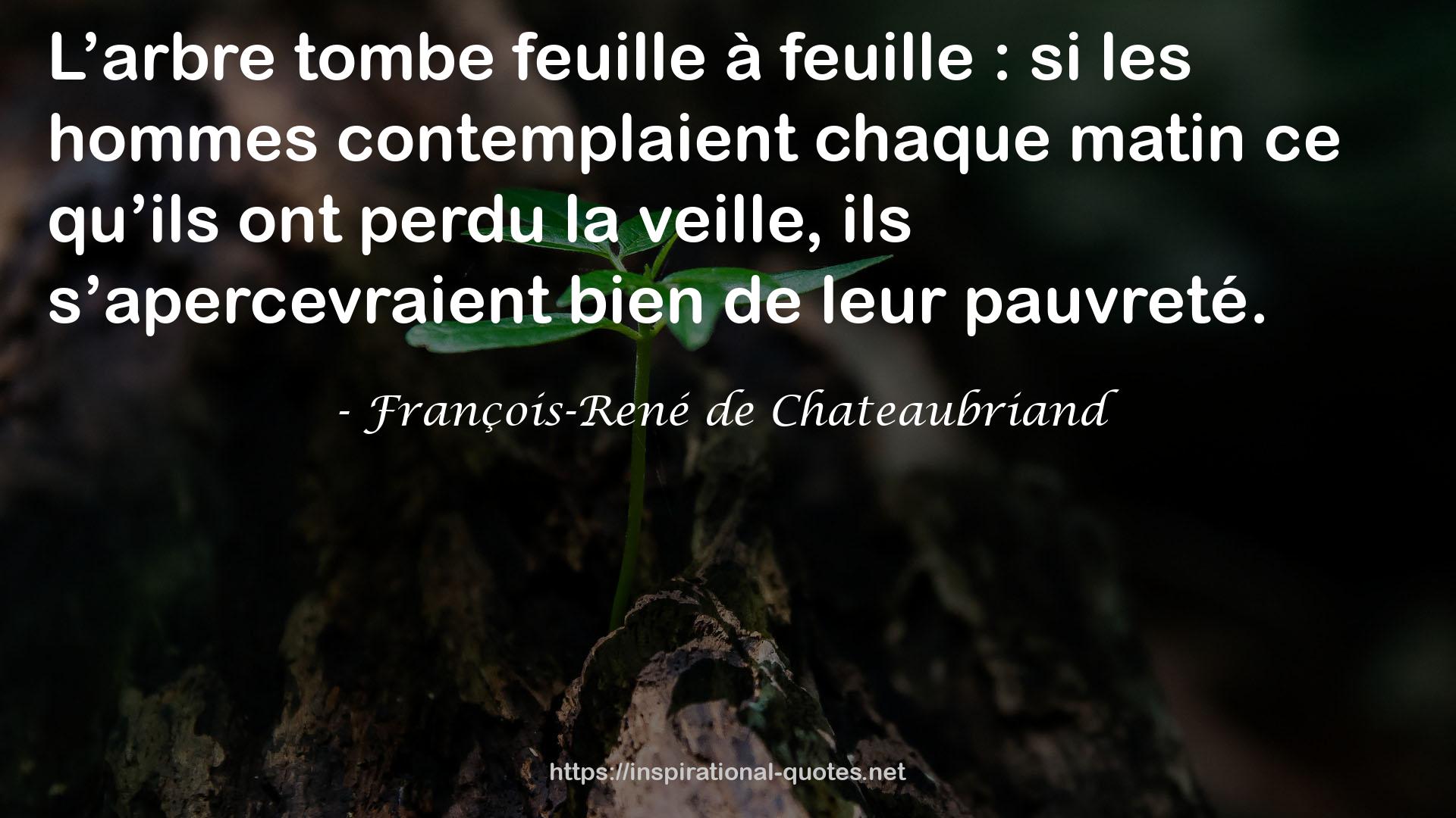 feuille  QUOTES