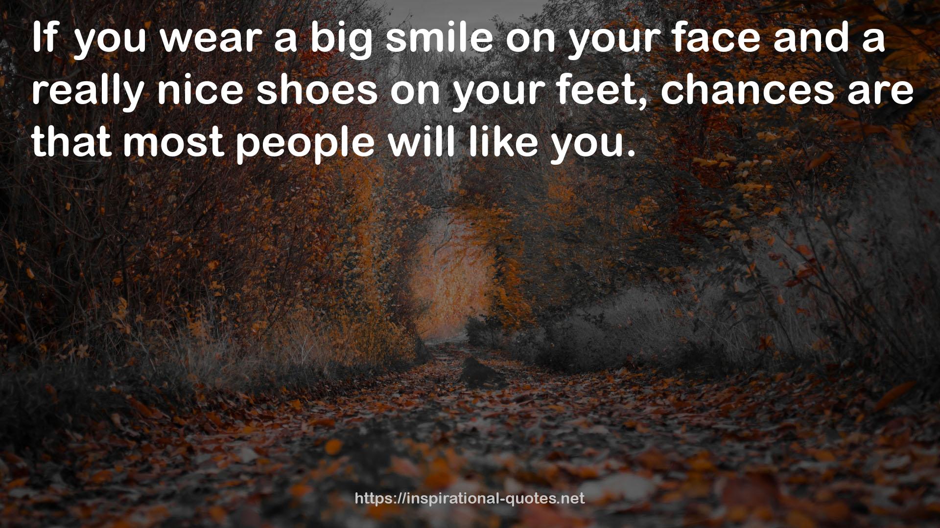 a really nice shoes  QUOTES