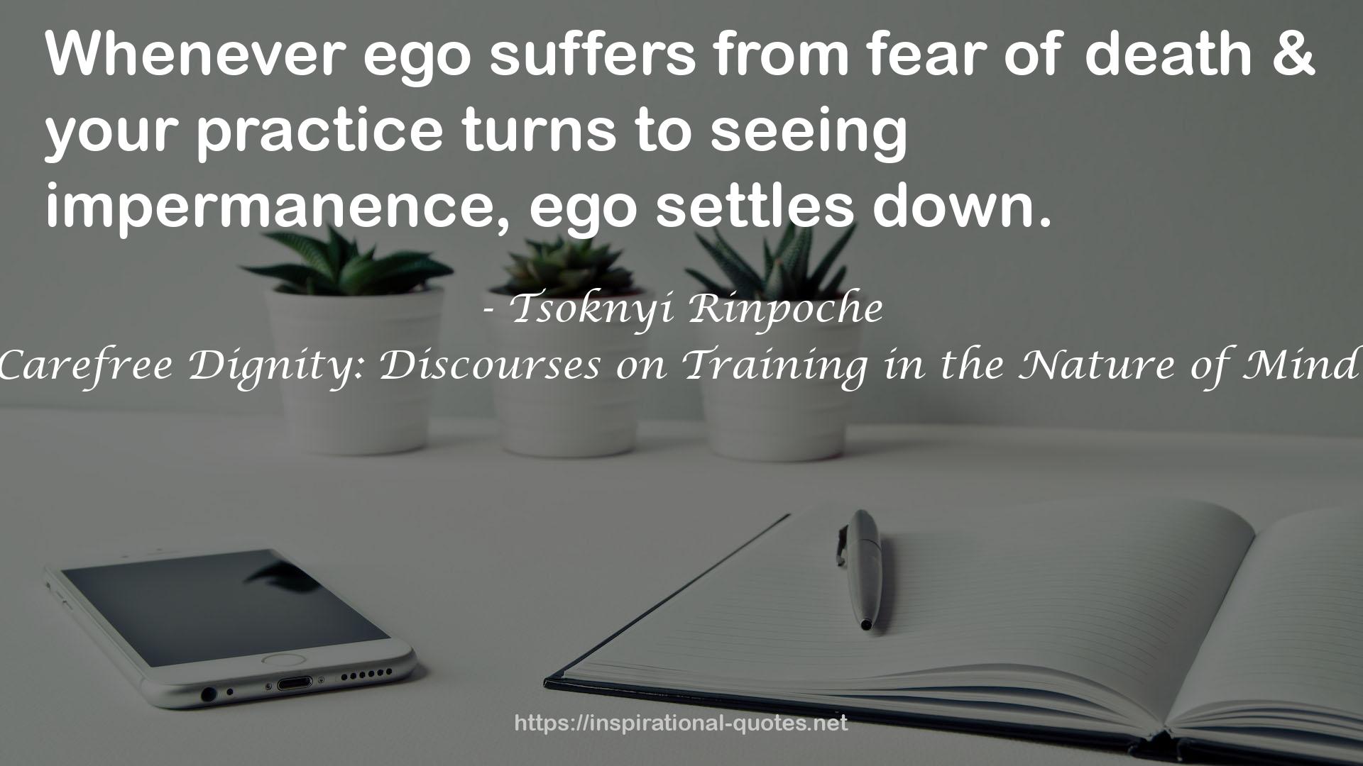 Carefree Dignity: Discourses on Training in the Nature of Mind QUOTES