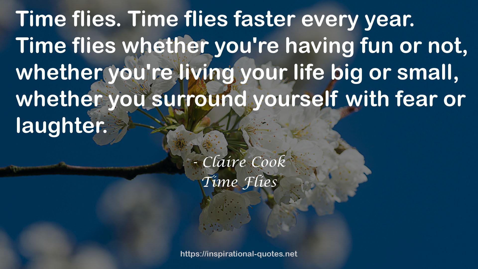 Time Flies QUOTES