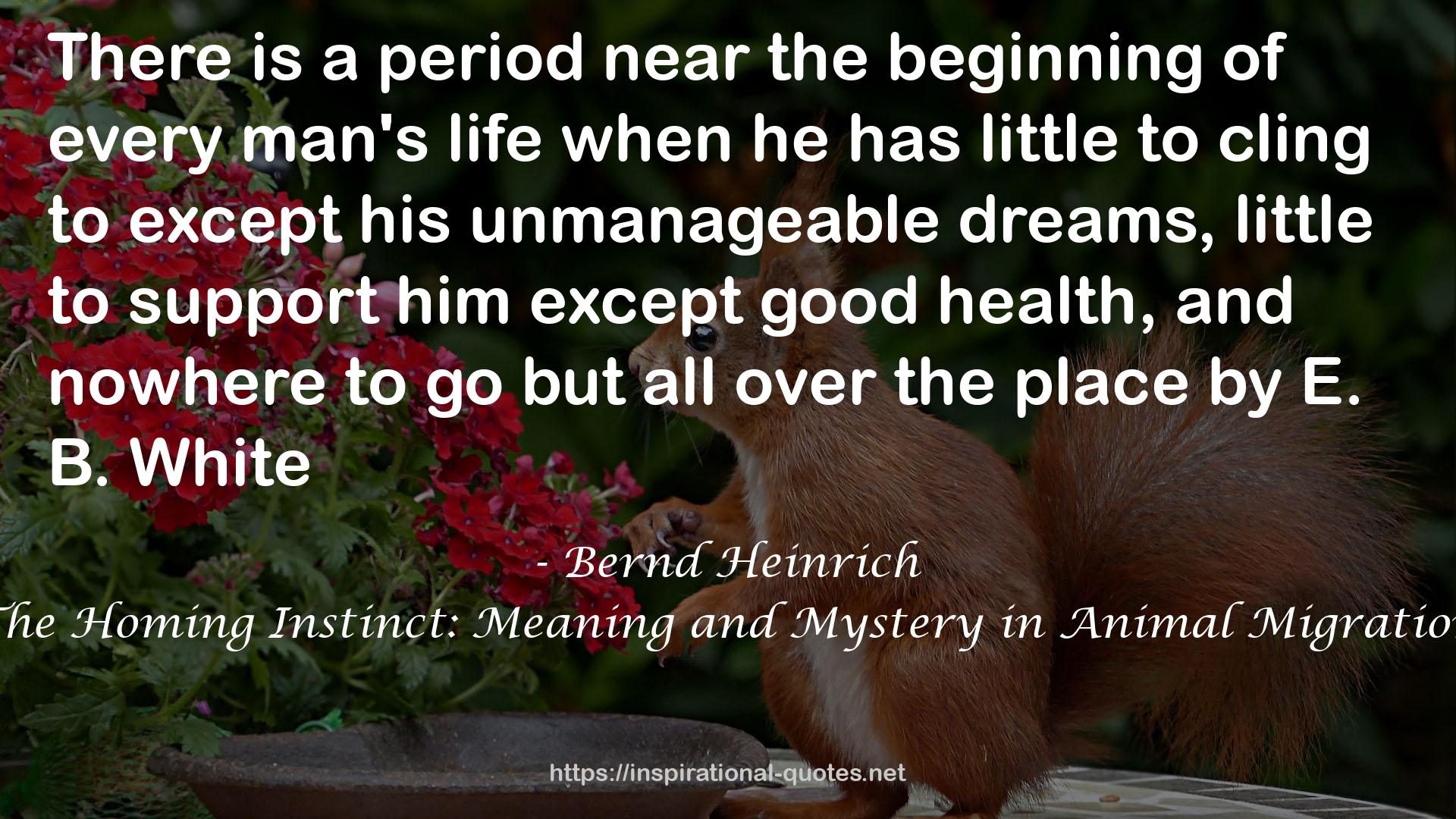 The Homing Instinct: Meaning and Mystery in Animal Migration QUOTES