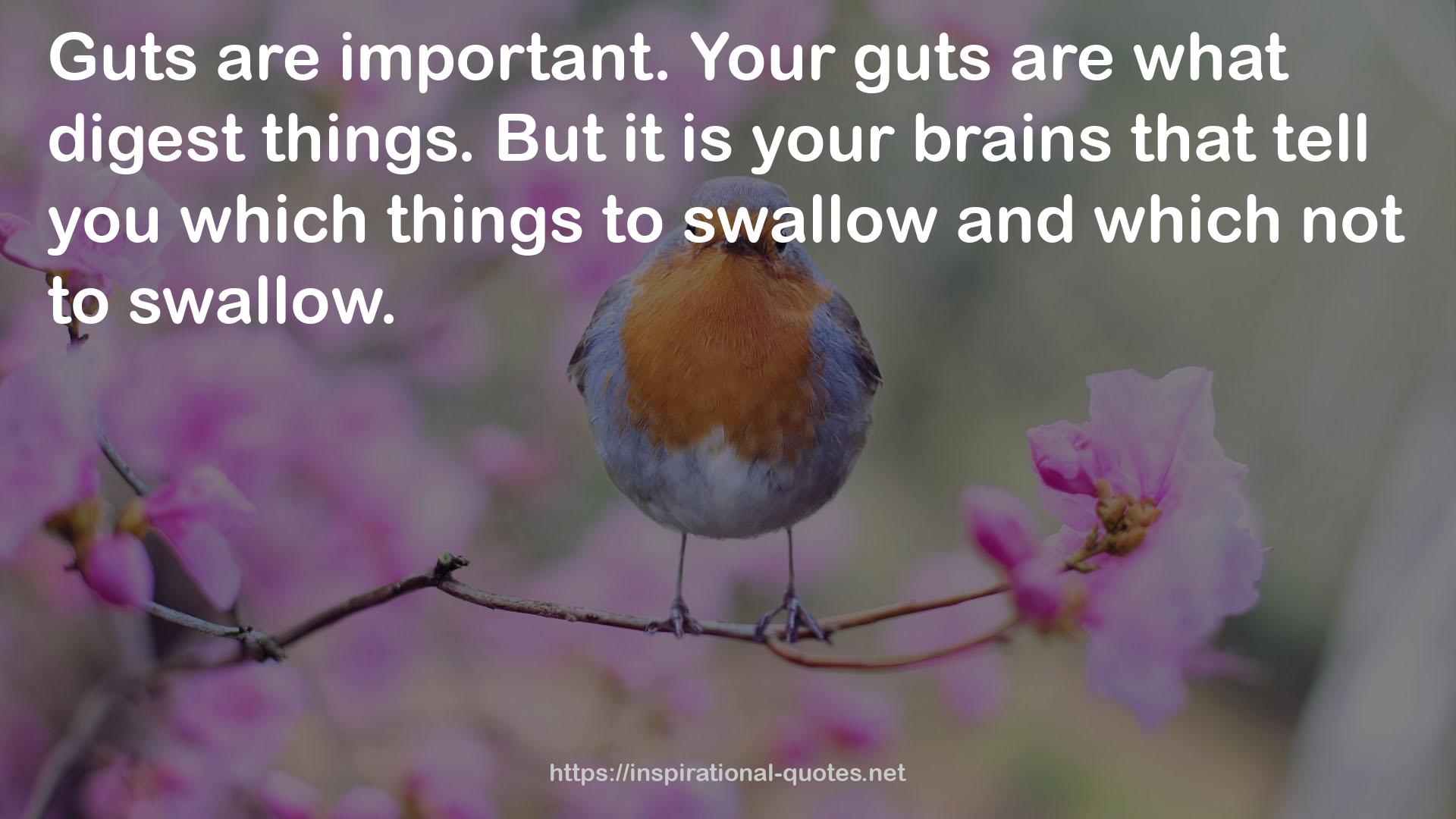 Your guts  QUOTES