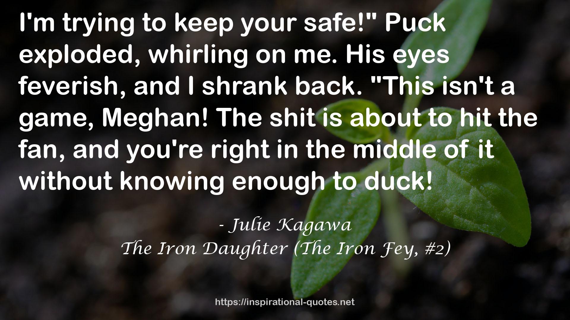 The Iron Daughter (The Iron Fey, #2) QUOTES