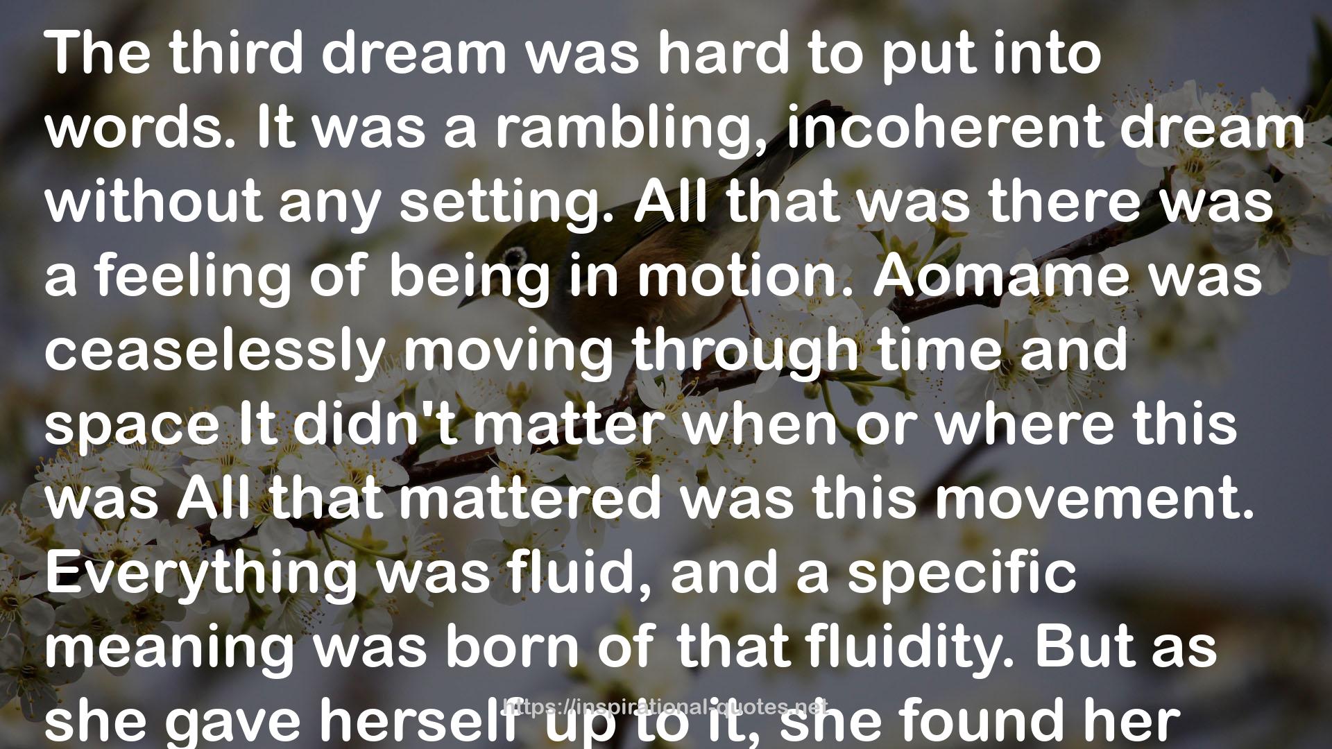 a rambling, incoherent dream  QUOTES