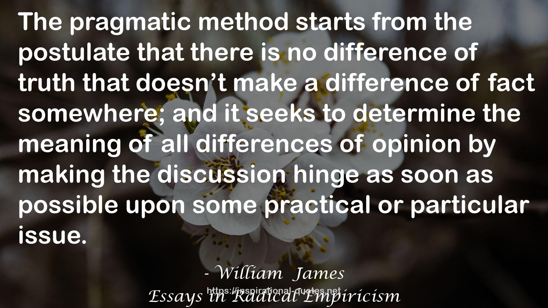 Essays in Radical Empiricism QUOTES