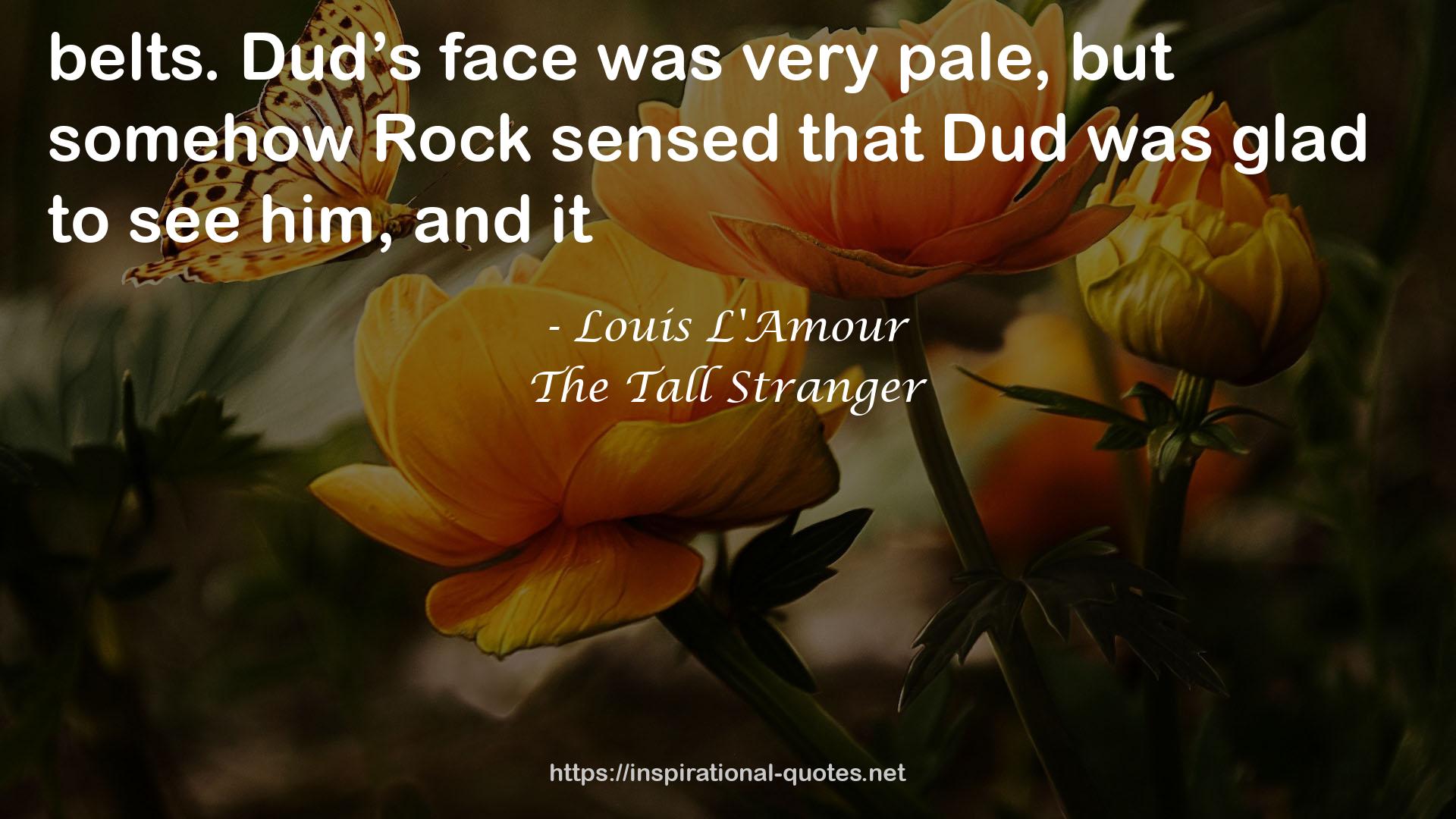 The Tall Stranger QUOTES