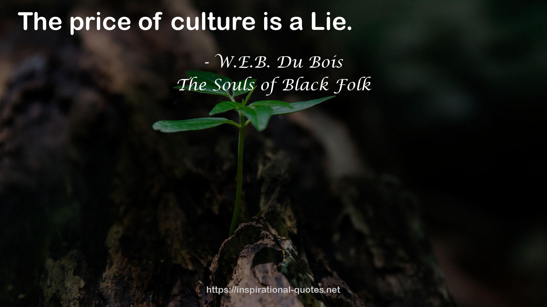 The Souls of Black Folk QUOTES