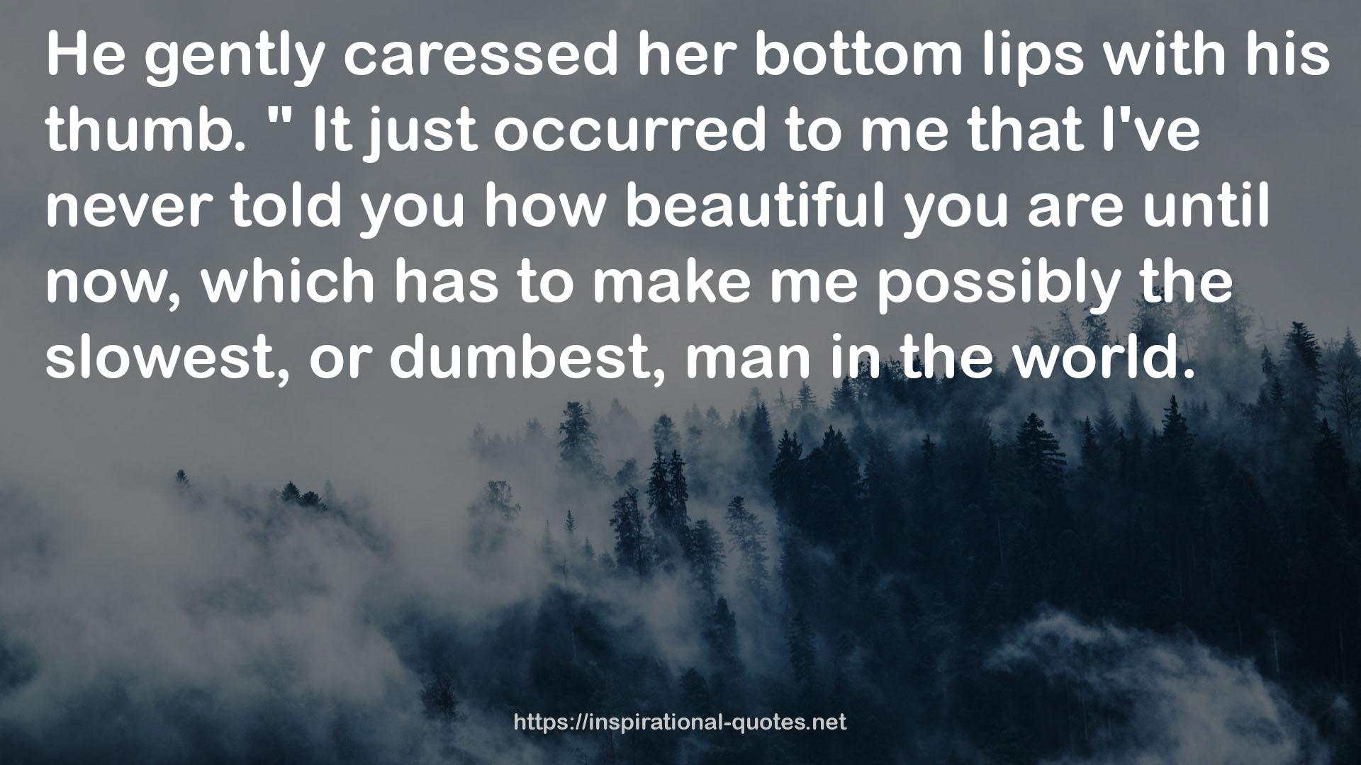 her bottom lips  QUOTES