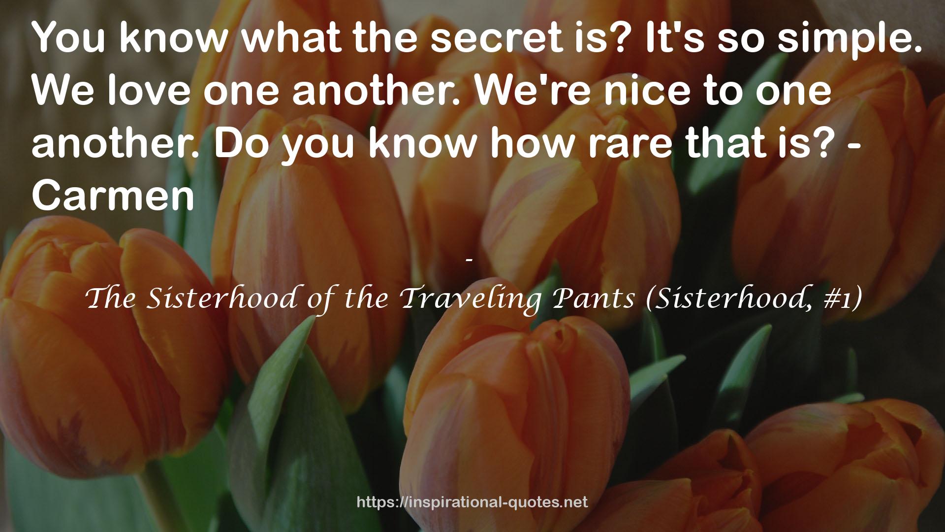 The Sisterhood of the Traveling Pants (Sisterhood, #1) QUOTES