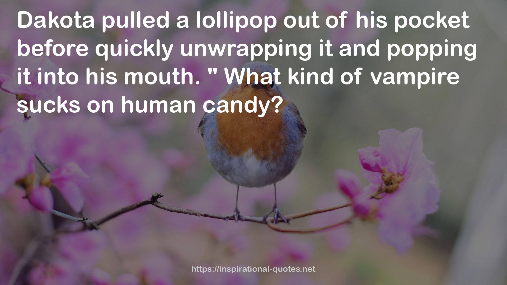 a lollipop  QUOTES