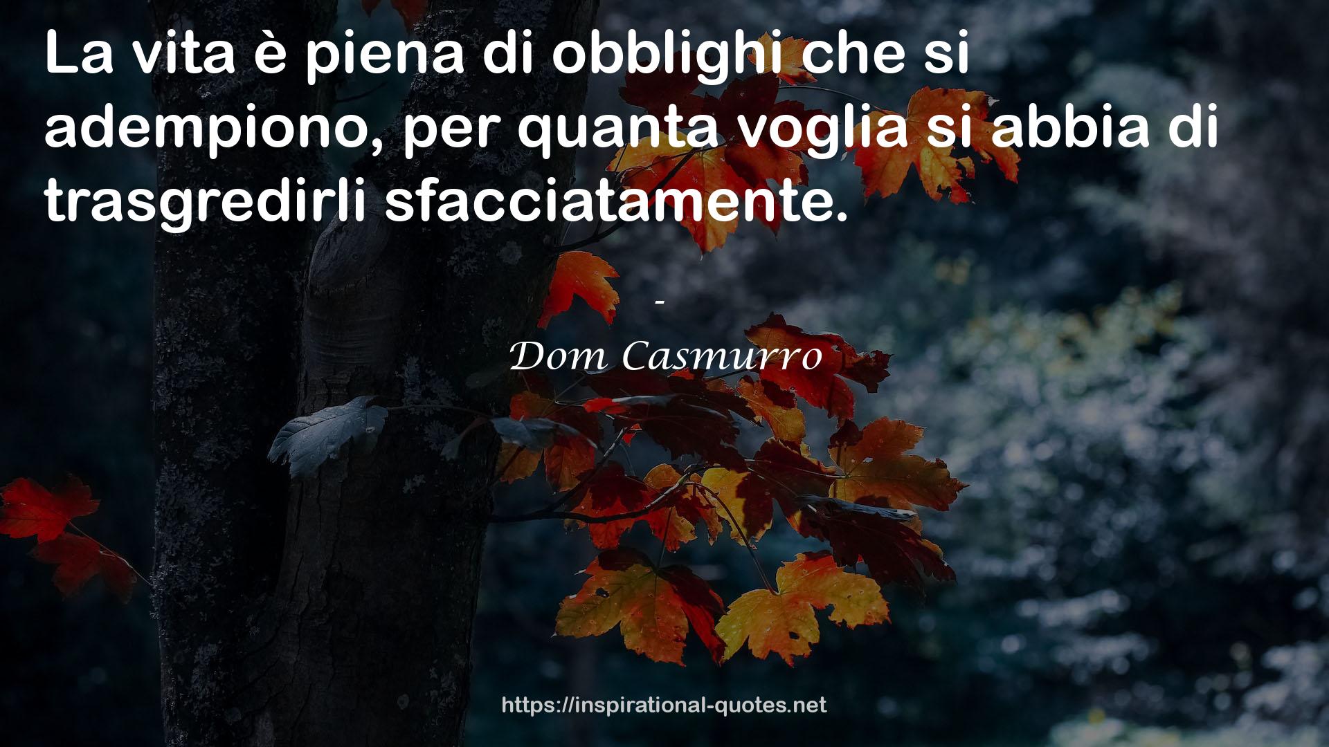 Dom Casmurro QUOTES