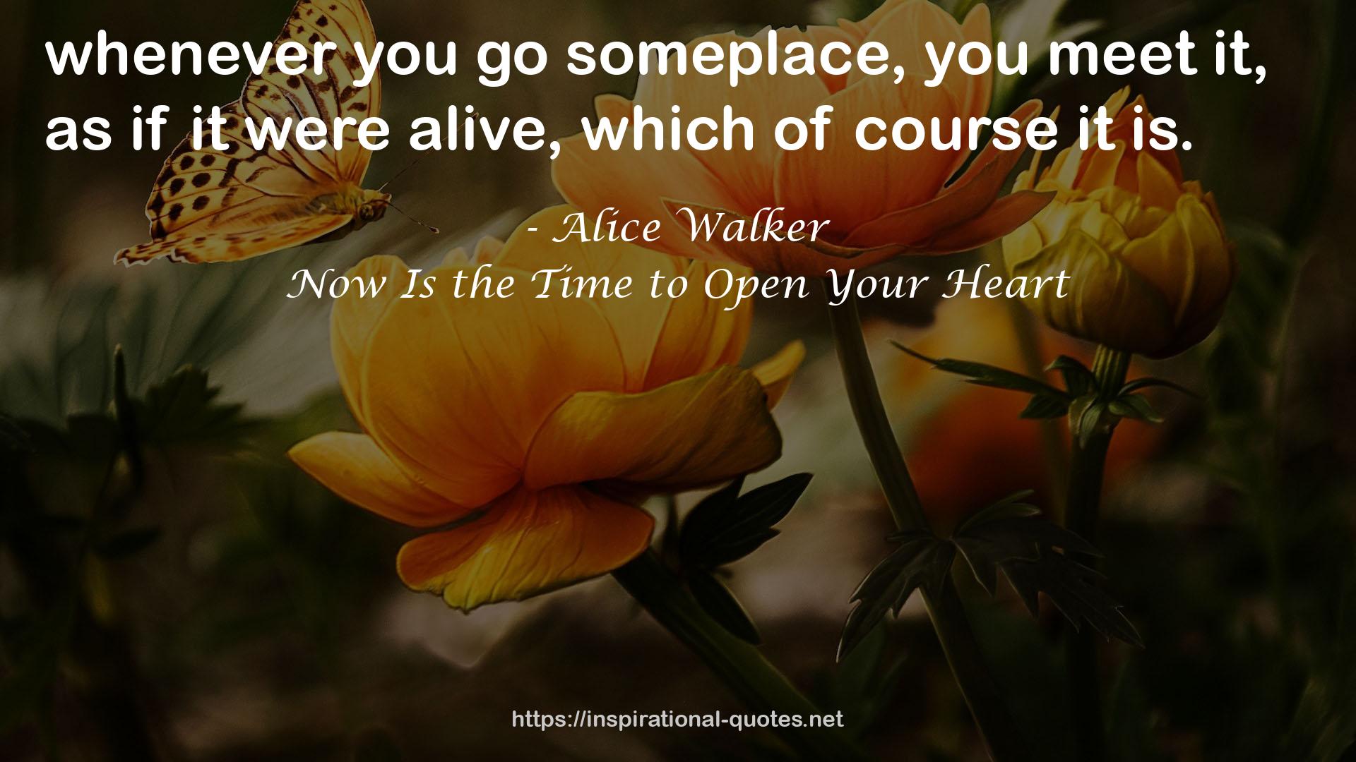 Now Is the Time to Open Your Heart QUOTES