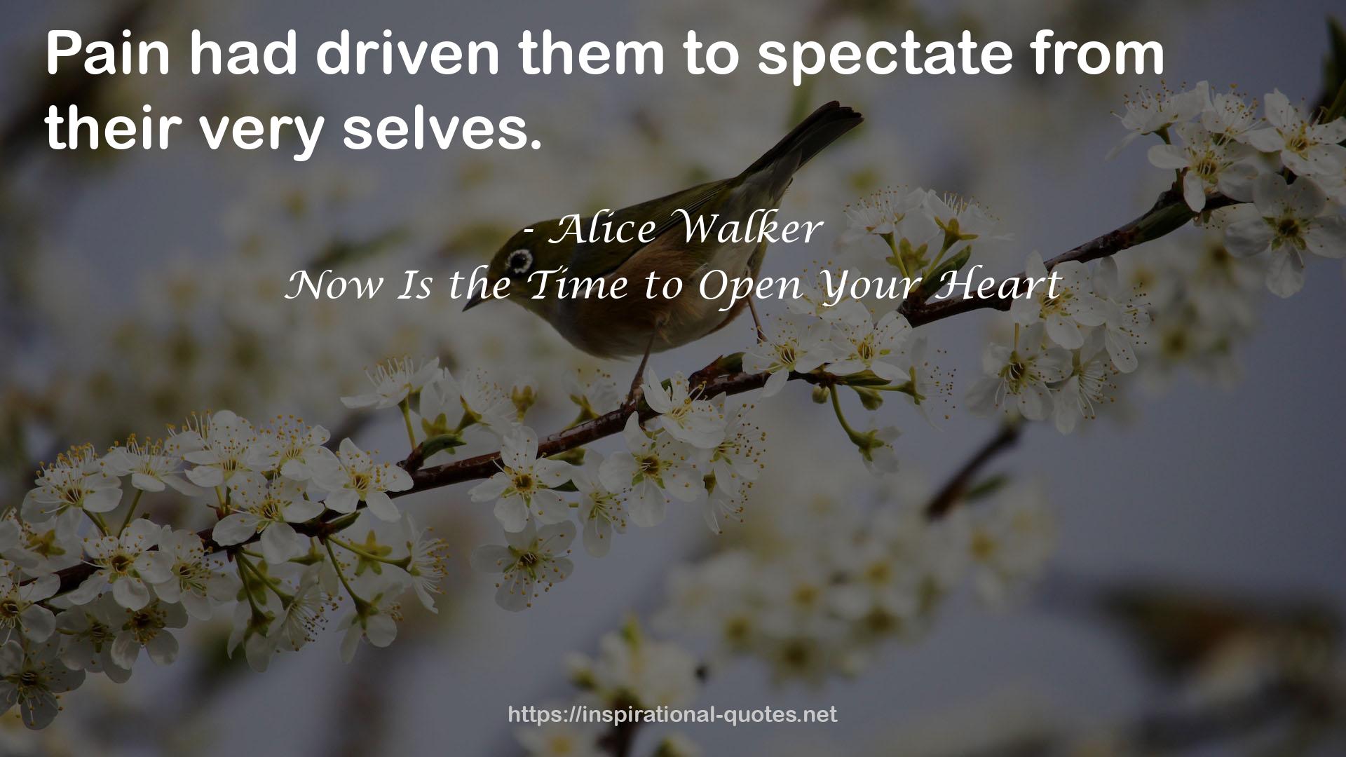 Now Is the Time to Open Your Heart QUOTES