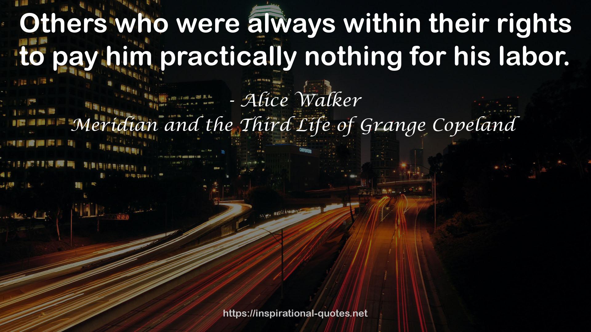 Meridian and the Third Life of Grange Copeland QUOTES