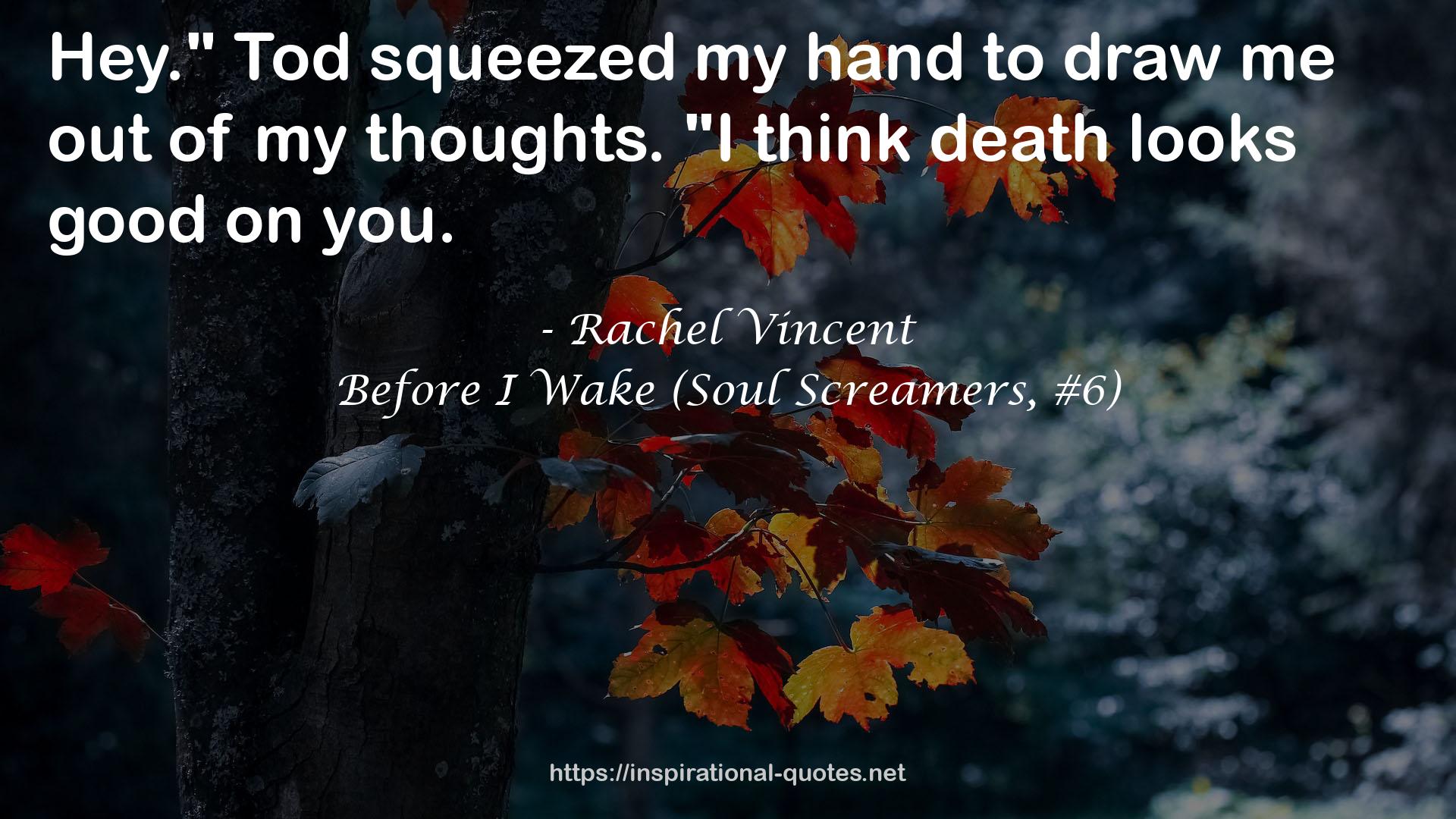 Before I Wake (Soul Screamers, #6) QUOTES