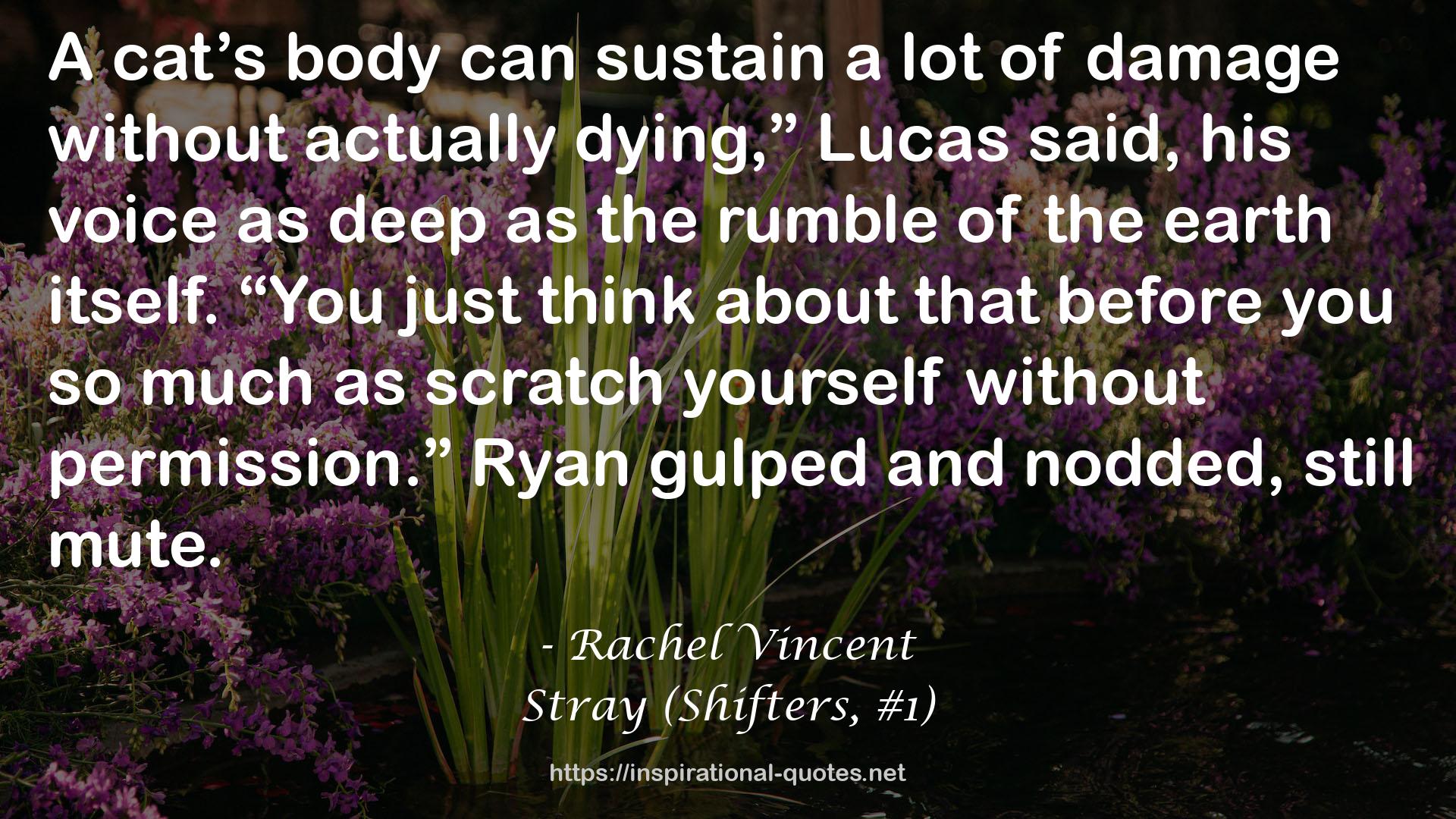 Stray (Shifters, #1) QUOTES
