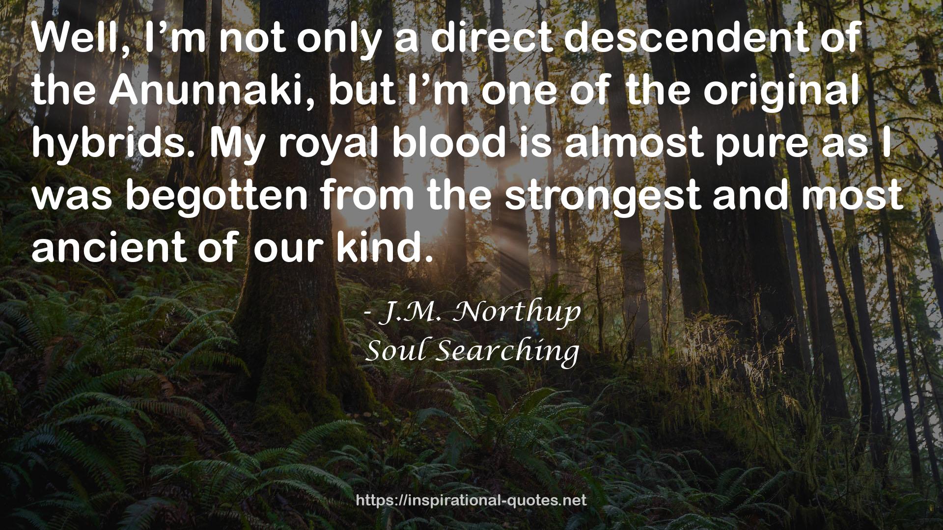 Soul Searching QUOTES