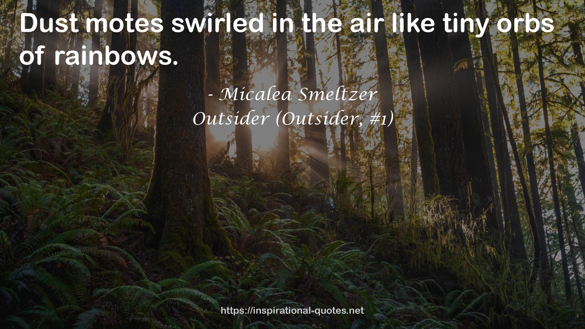Outsider (Outsider, #1) QUOTES