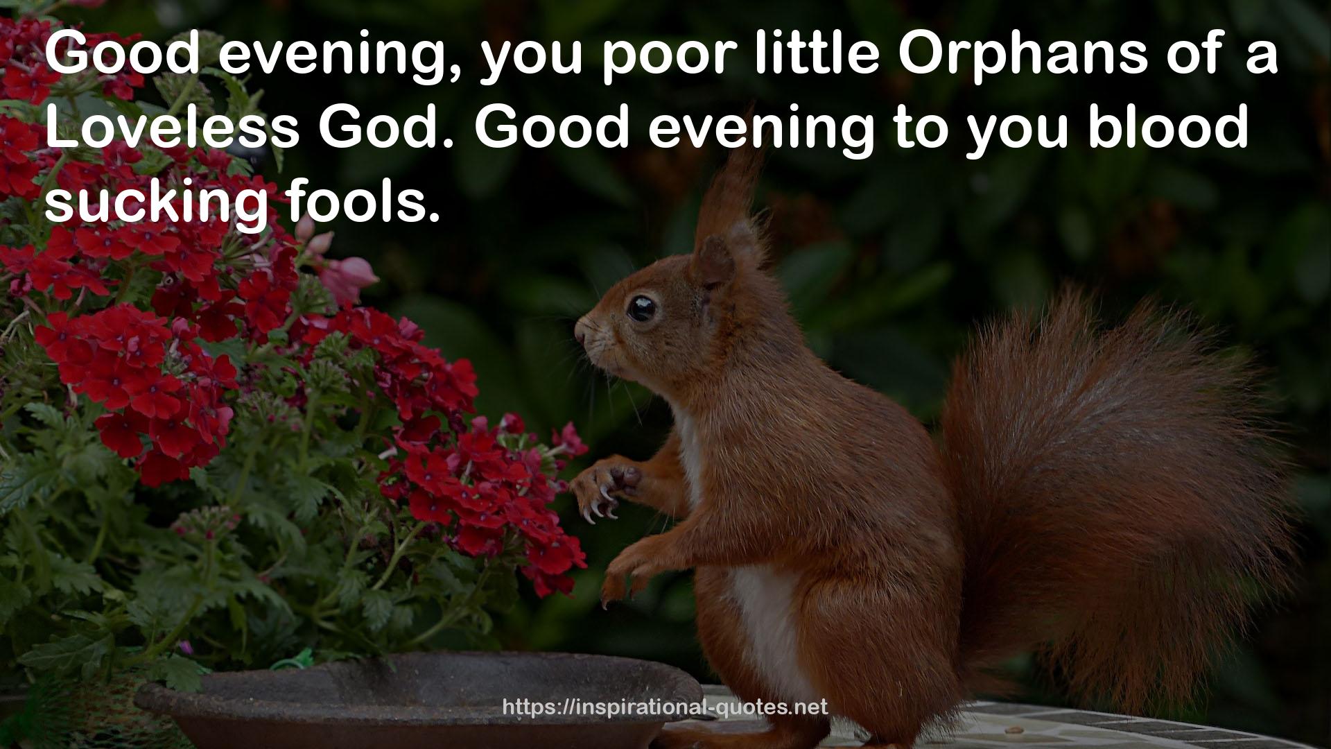 poor little Orphans  QUOTES