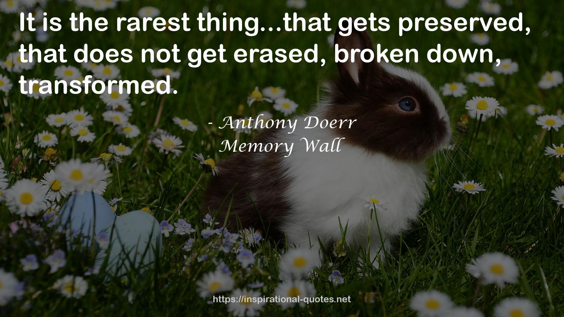 Memory Wall QUOTES