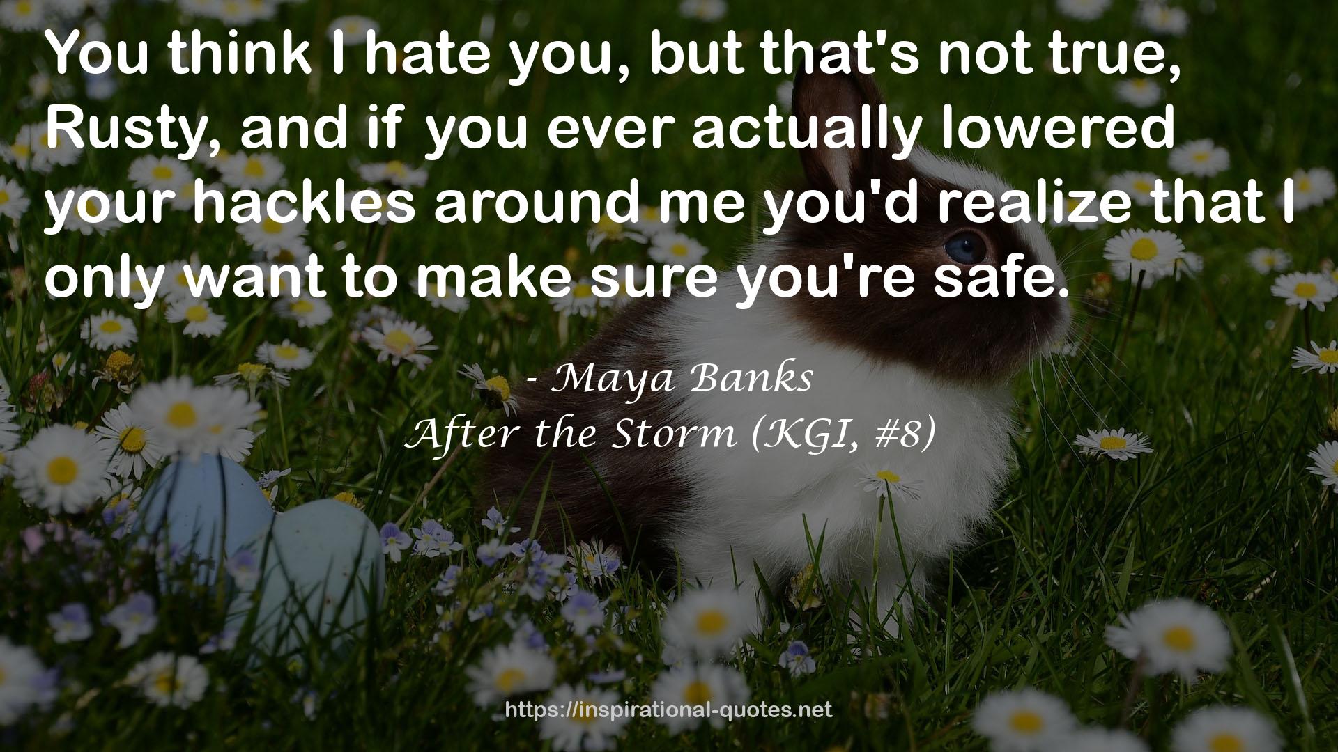 After the Storm (KGI, #8) QUOTES