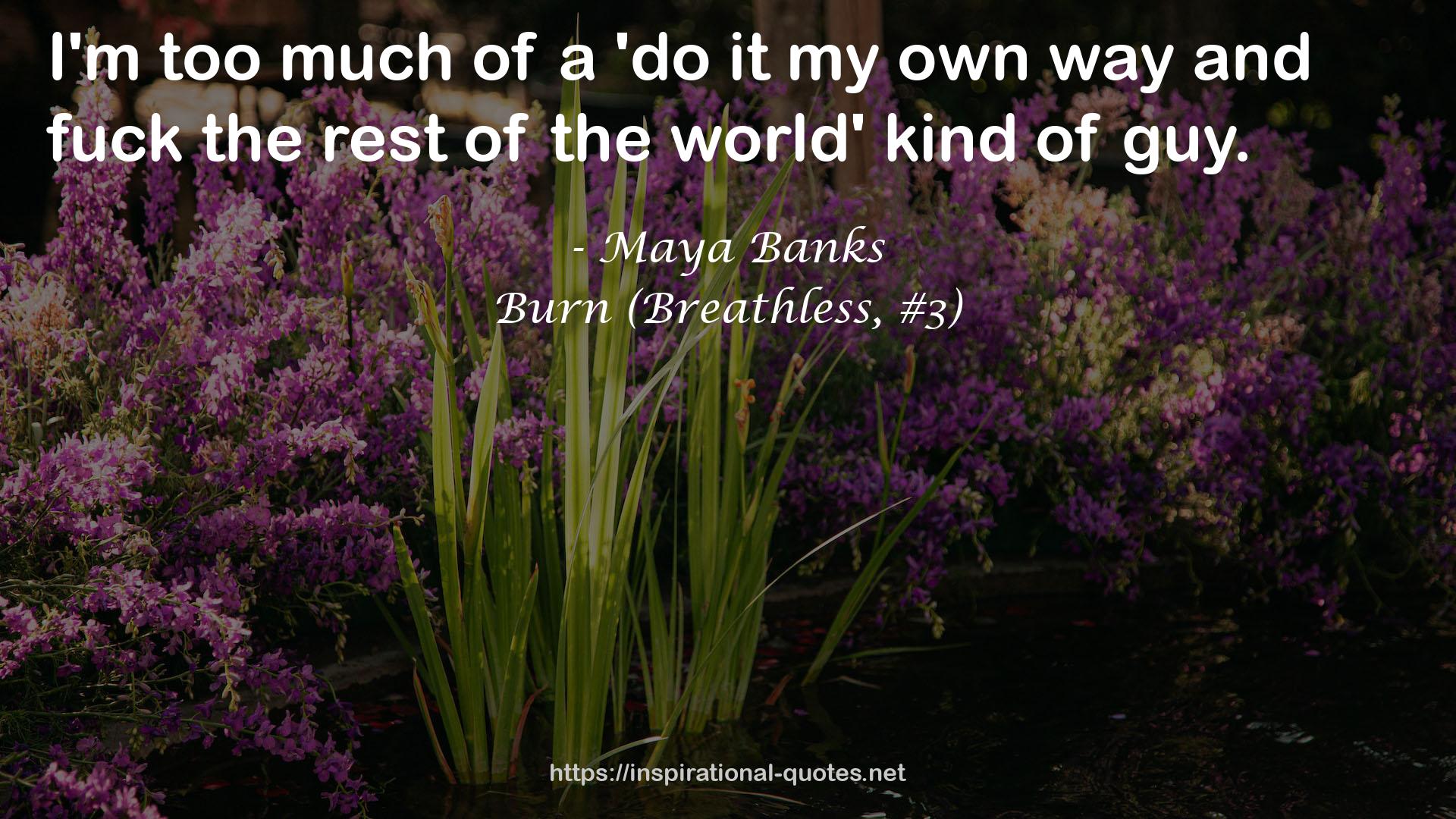 Burn (Breathless, #3) QUOTES