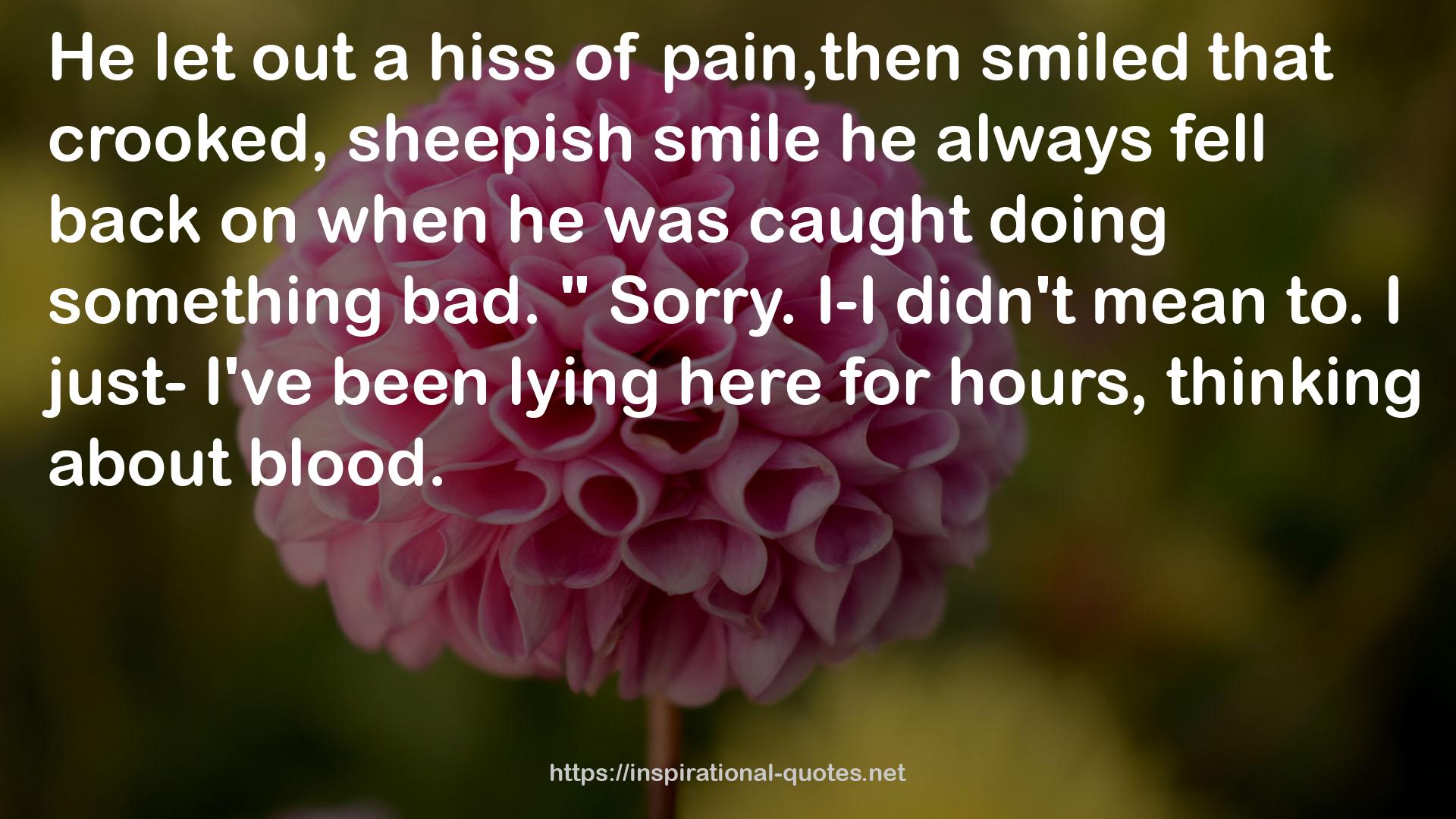 sheepish smile  QUOTES