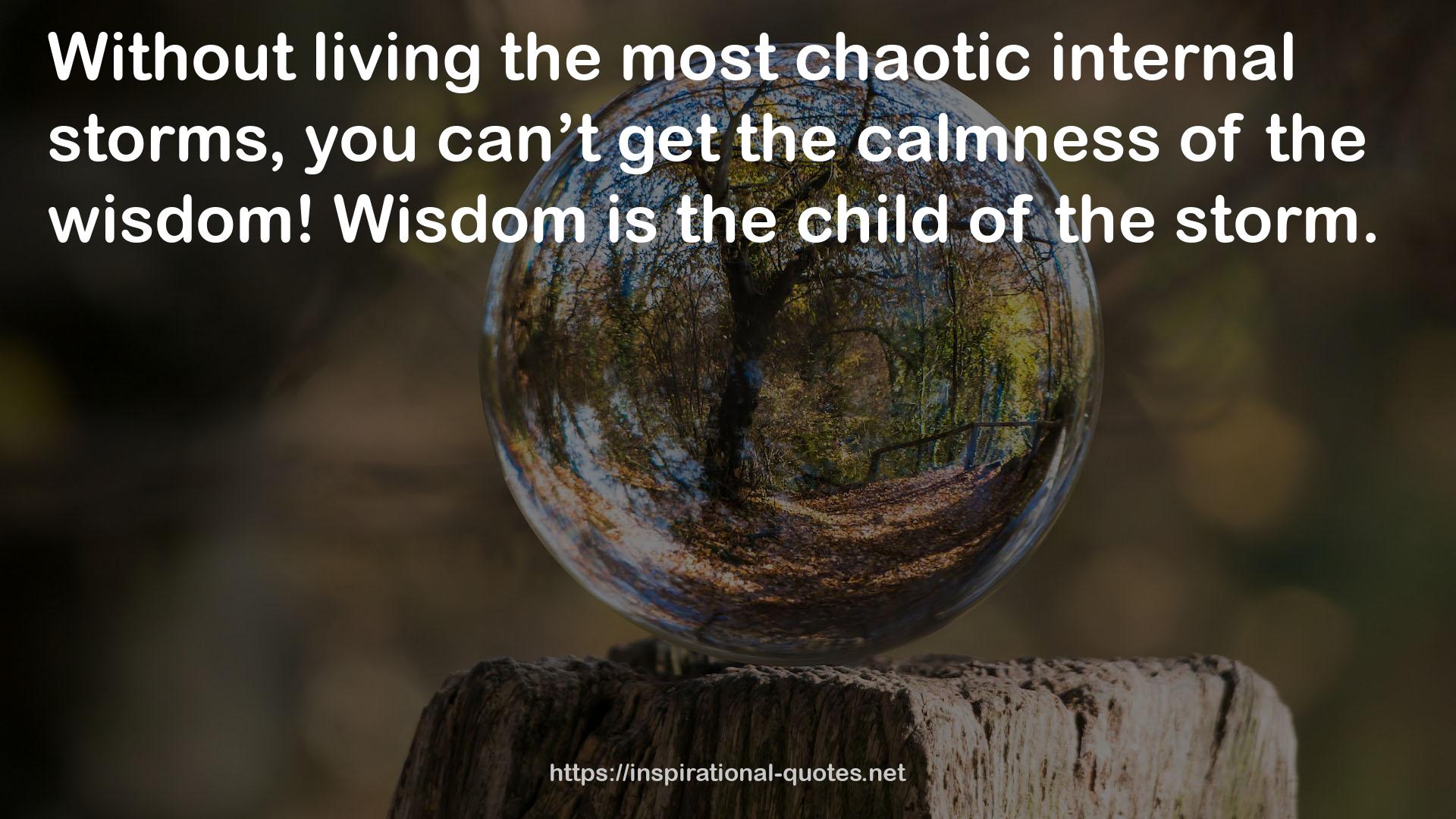 the calmness  QUOTES