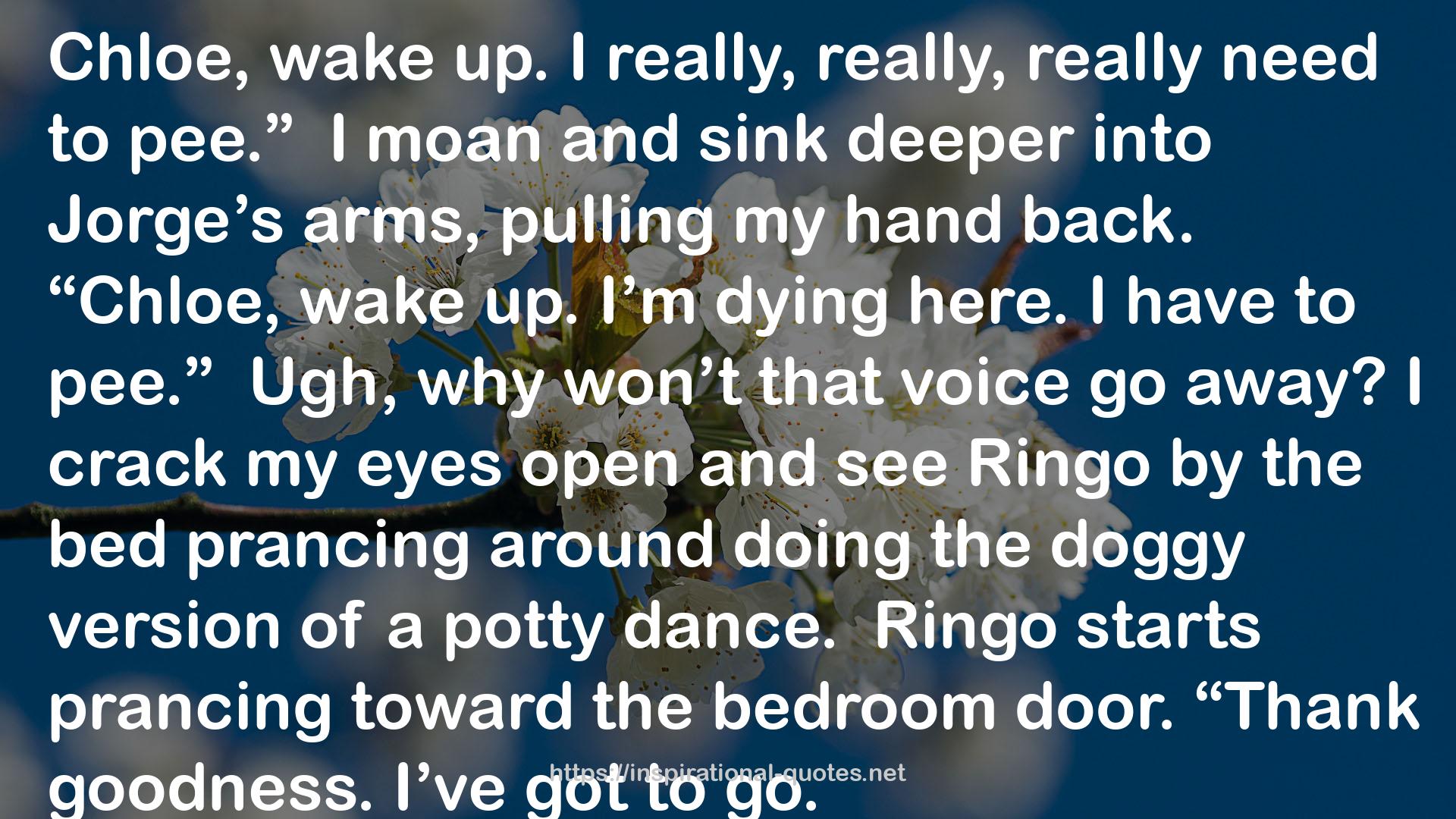 Ringo  QUOTES