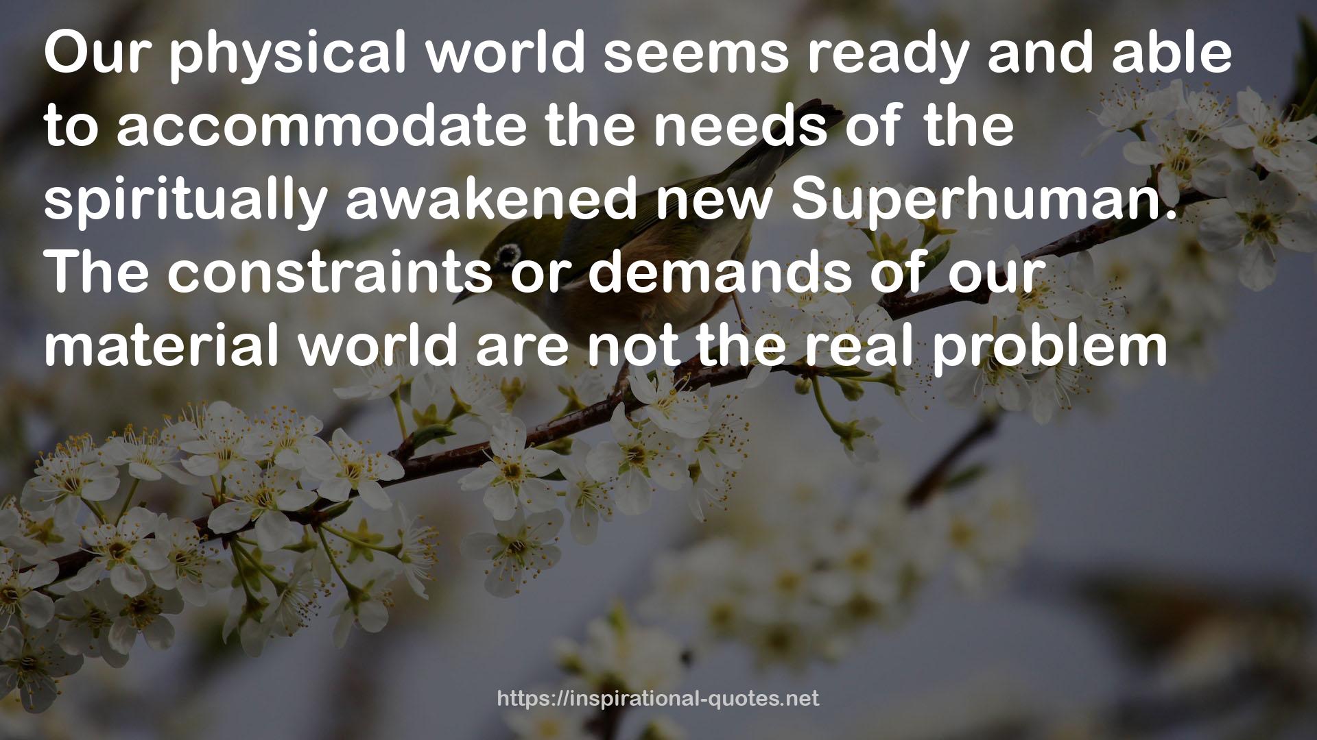 our material world  QUOTES