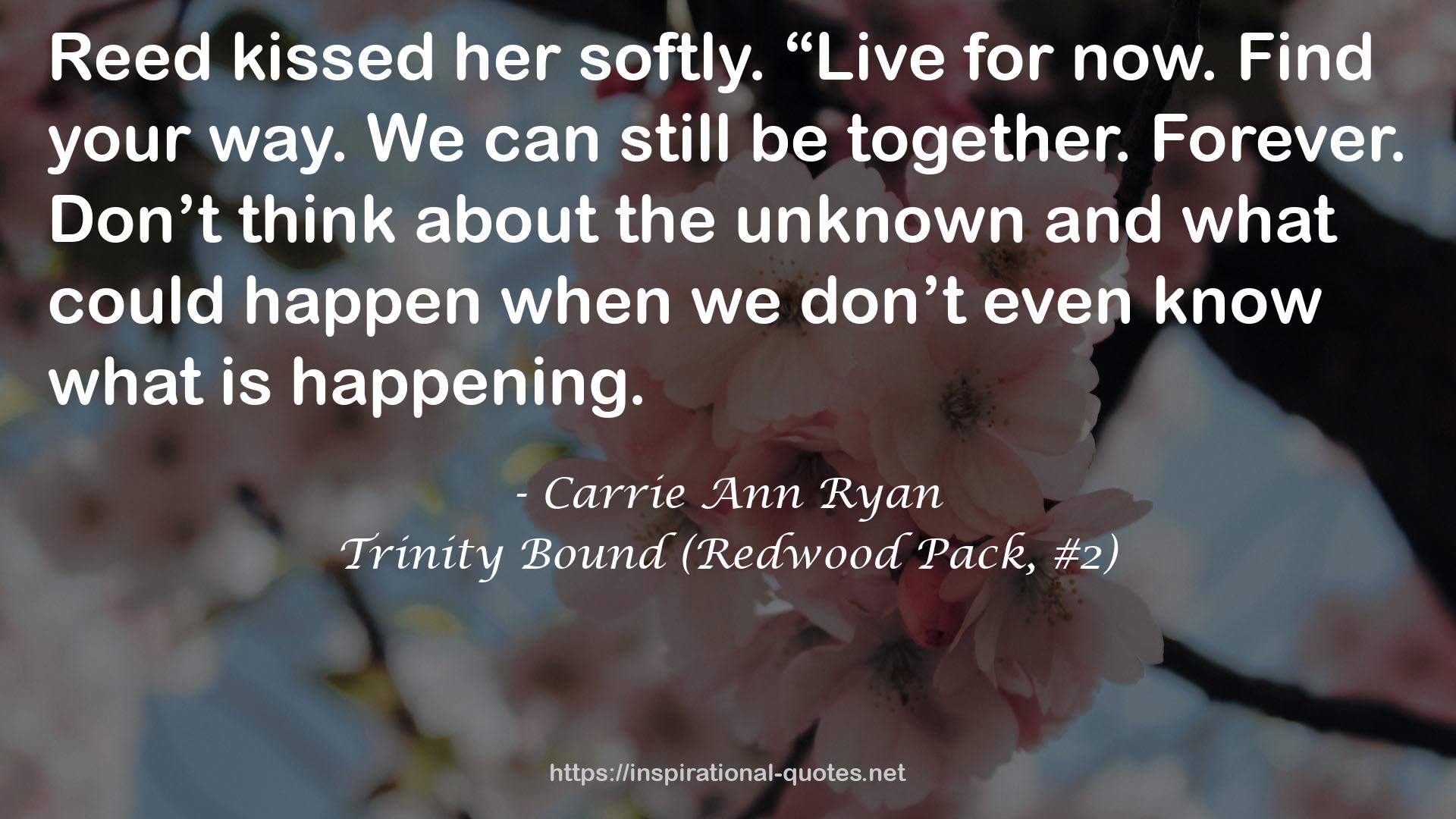 Trinity Bound (Redwood Pack, #2) QUOTES